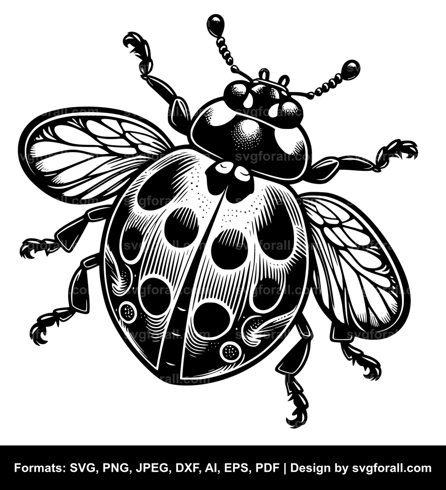 Ladybug SVG Vector