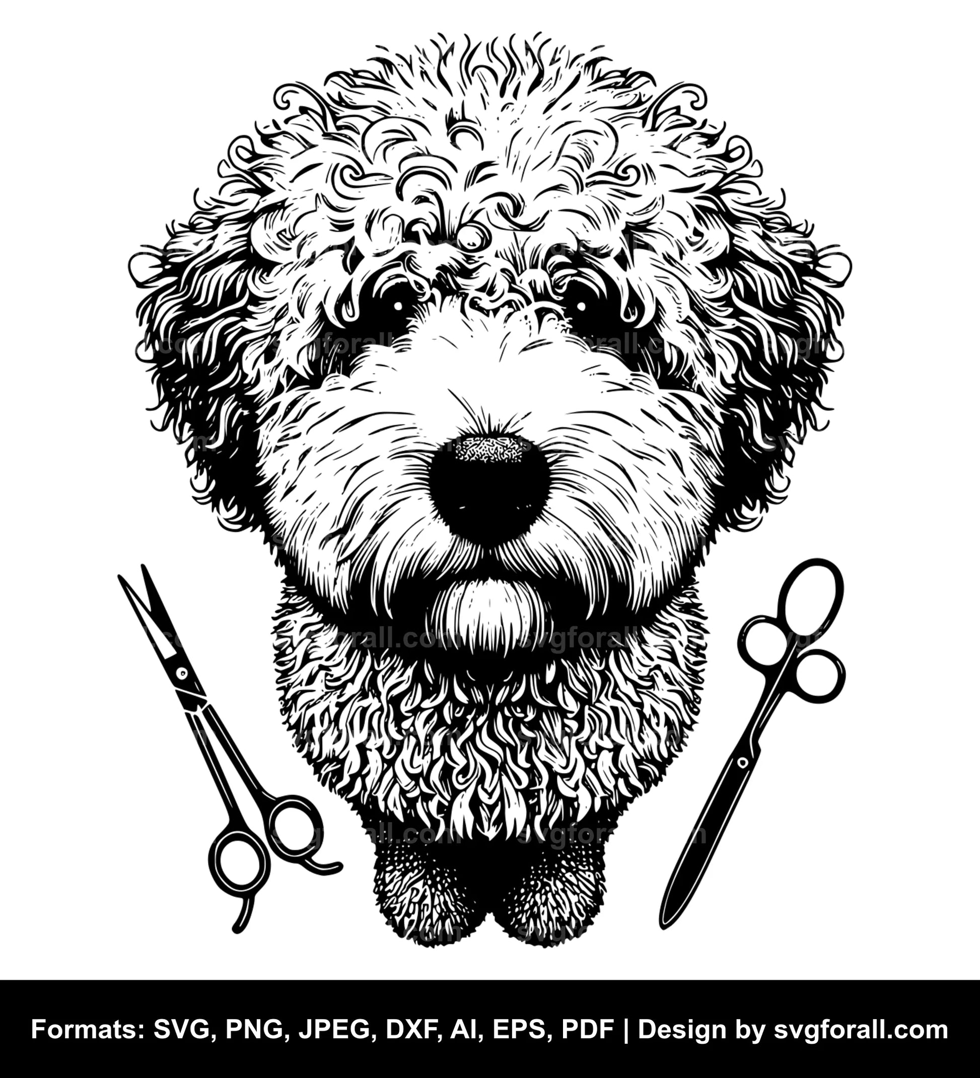 Lagotto Romagnolo Dog Clipart SVG