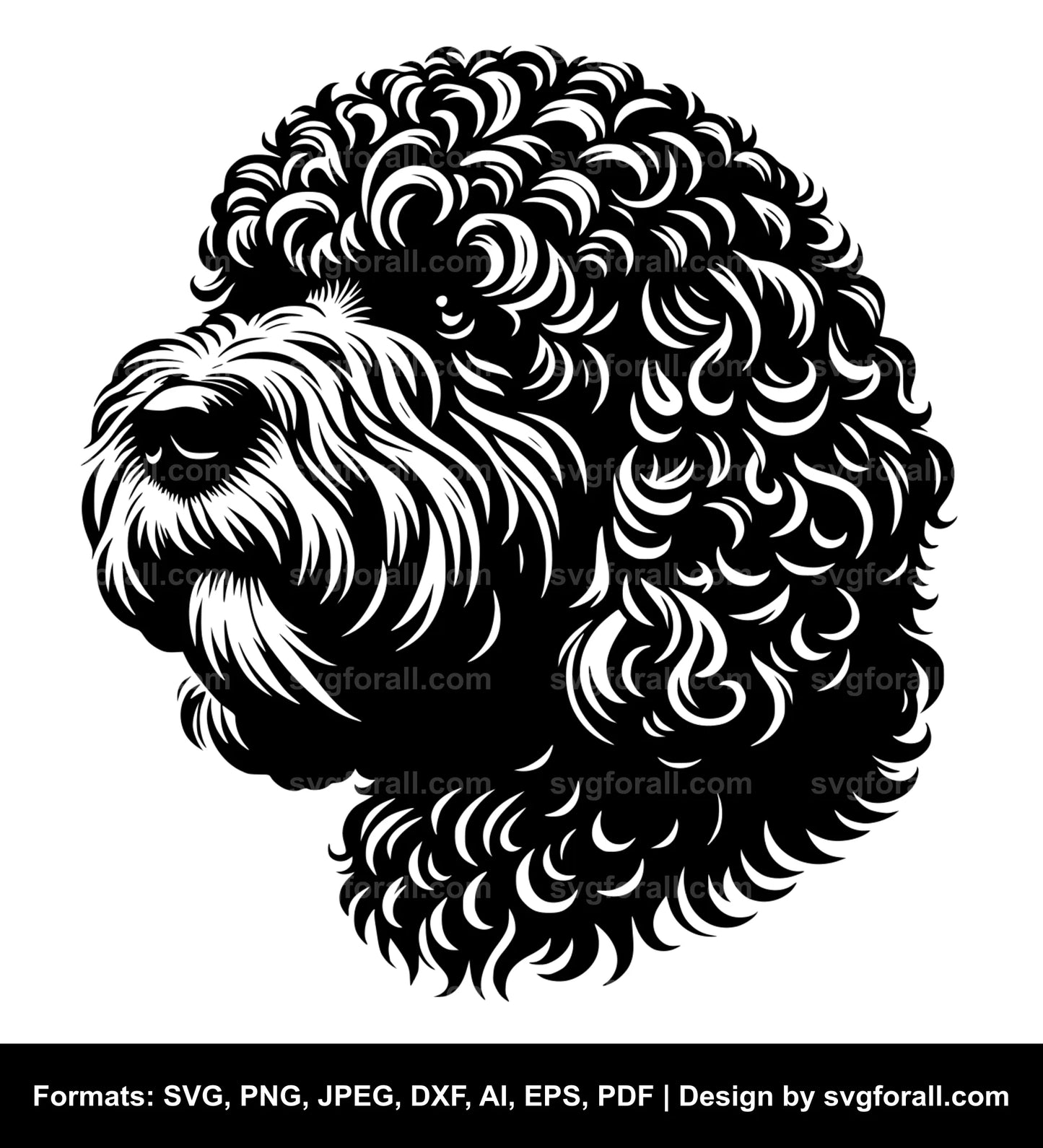 Lagotto Romagnolo Dog SVG Vector