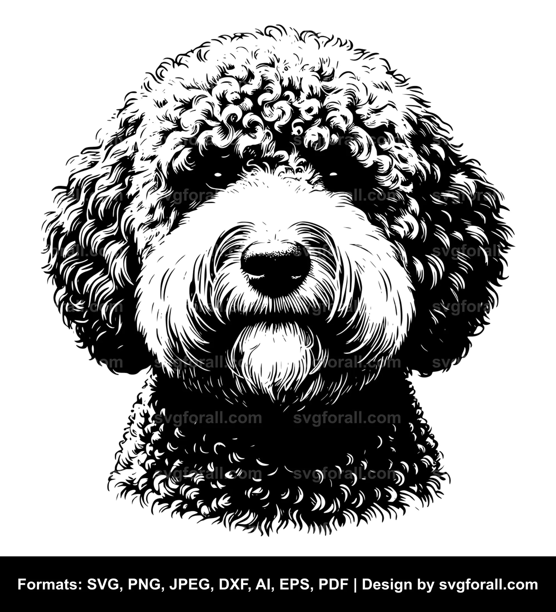 Lagotto Romagnolo Dog Vector SVG