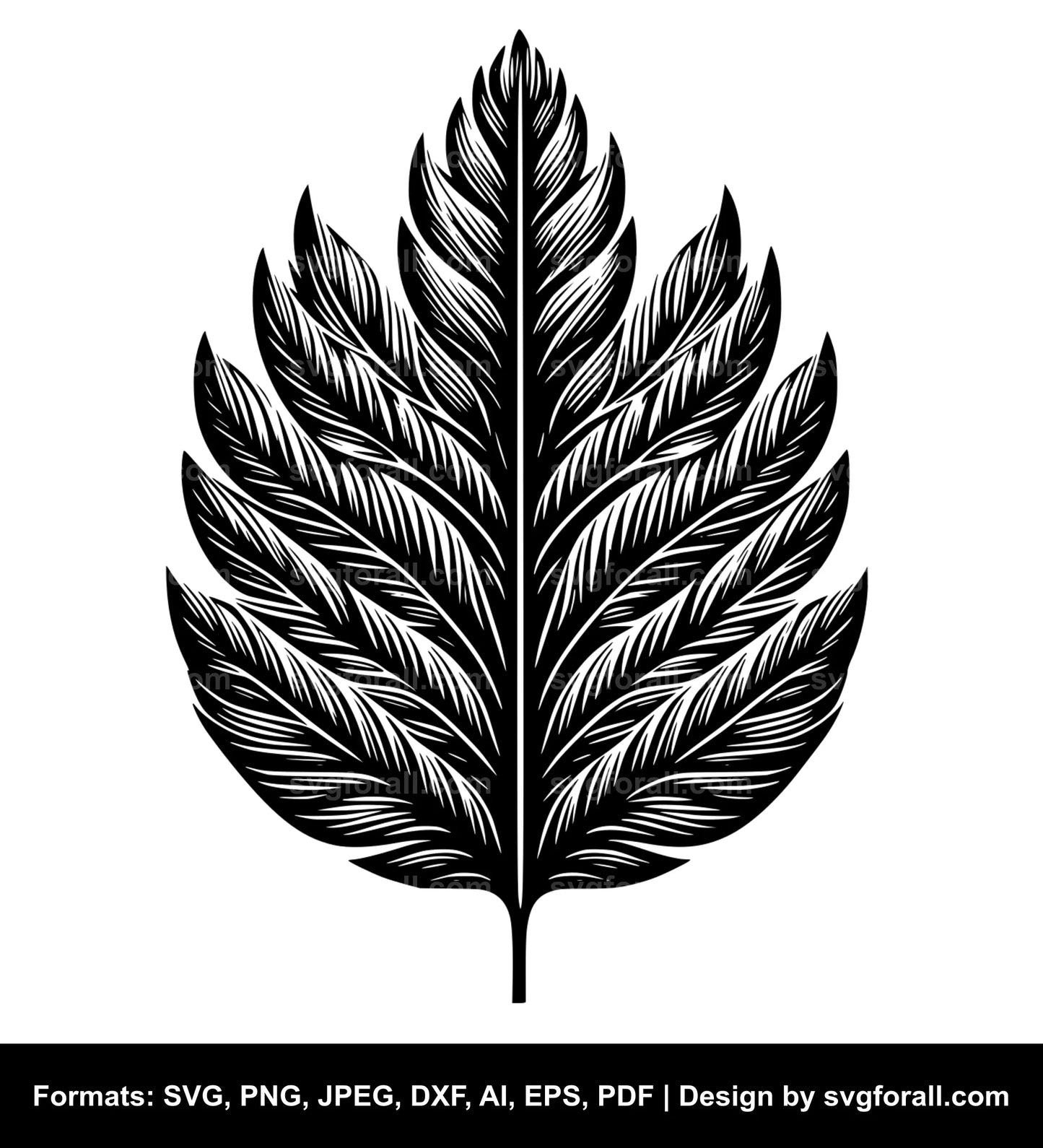 Leaf SVG