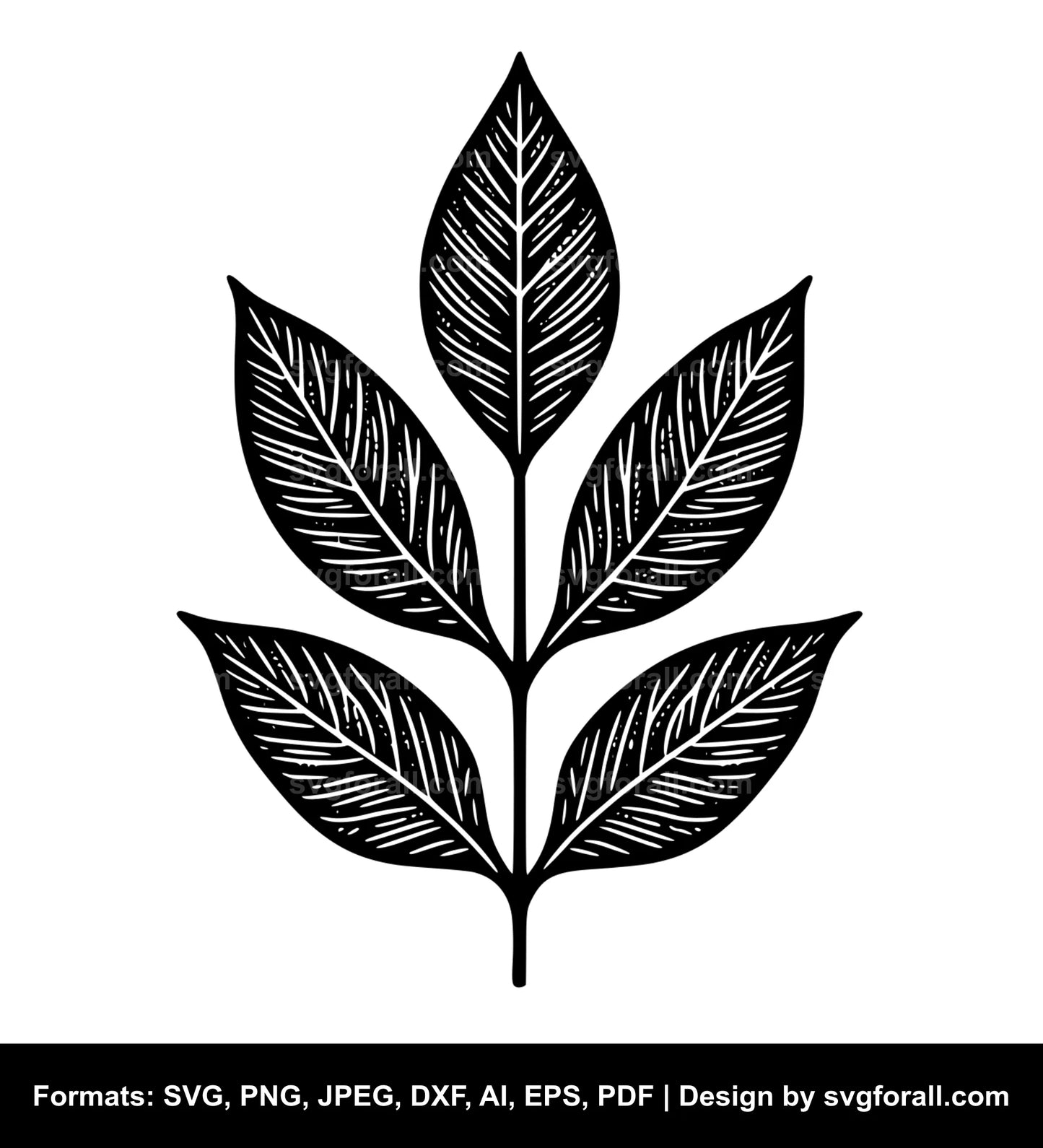 Leaf SVG PNG