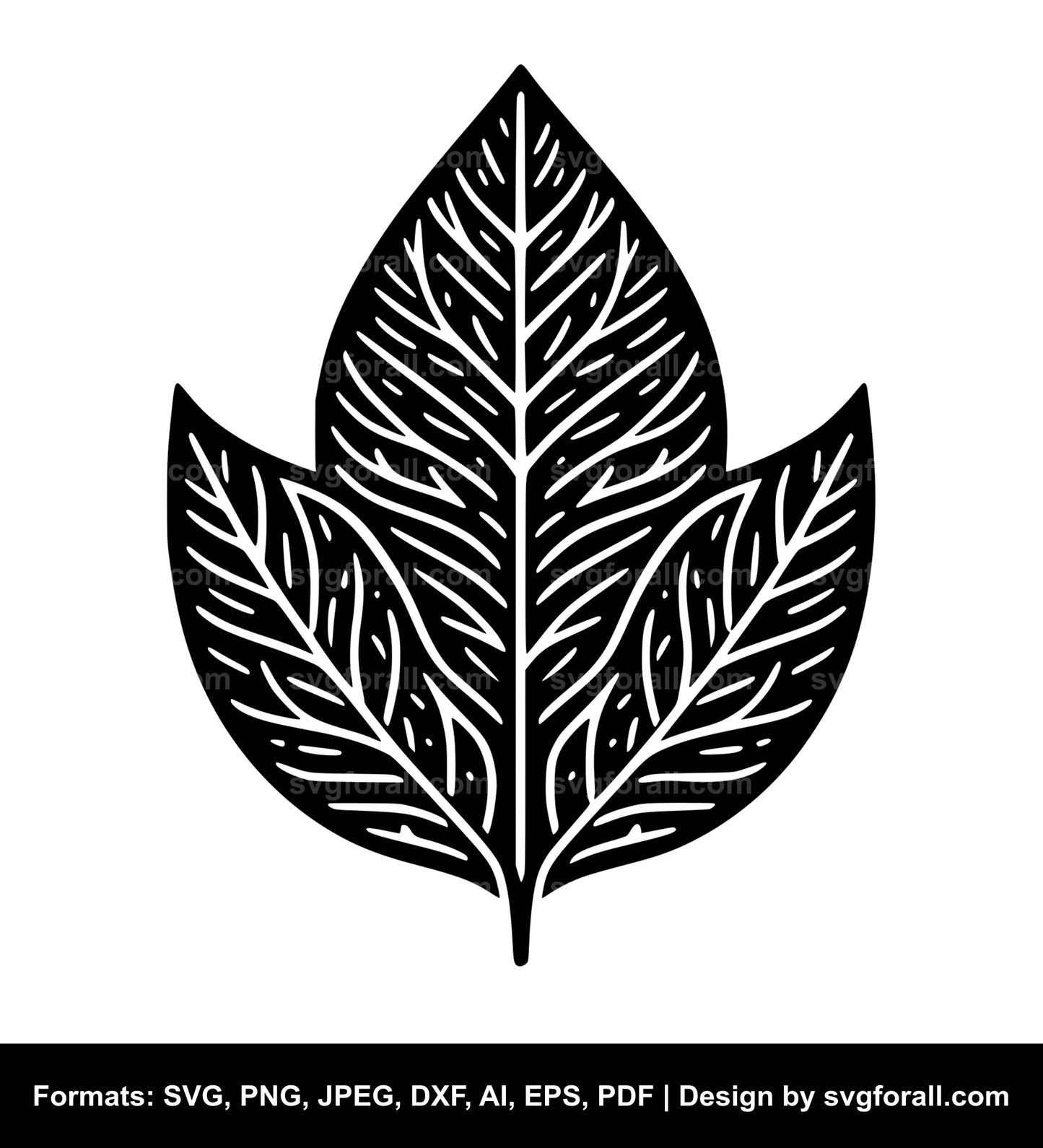 Leaf Vector SVG