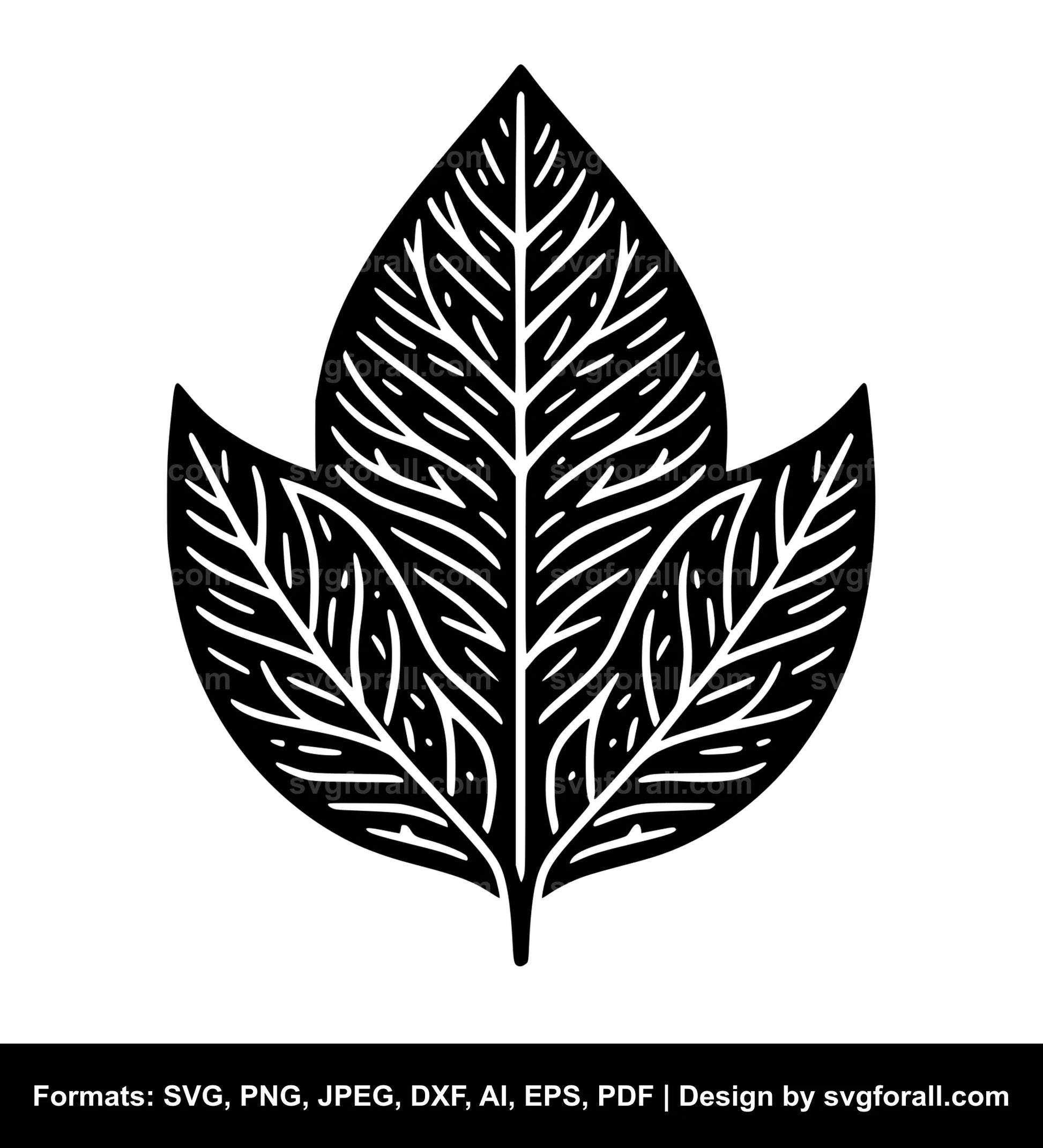 Leaf Vector SVG