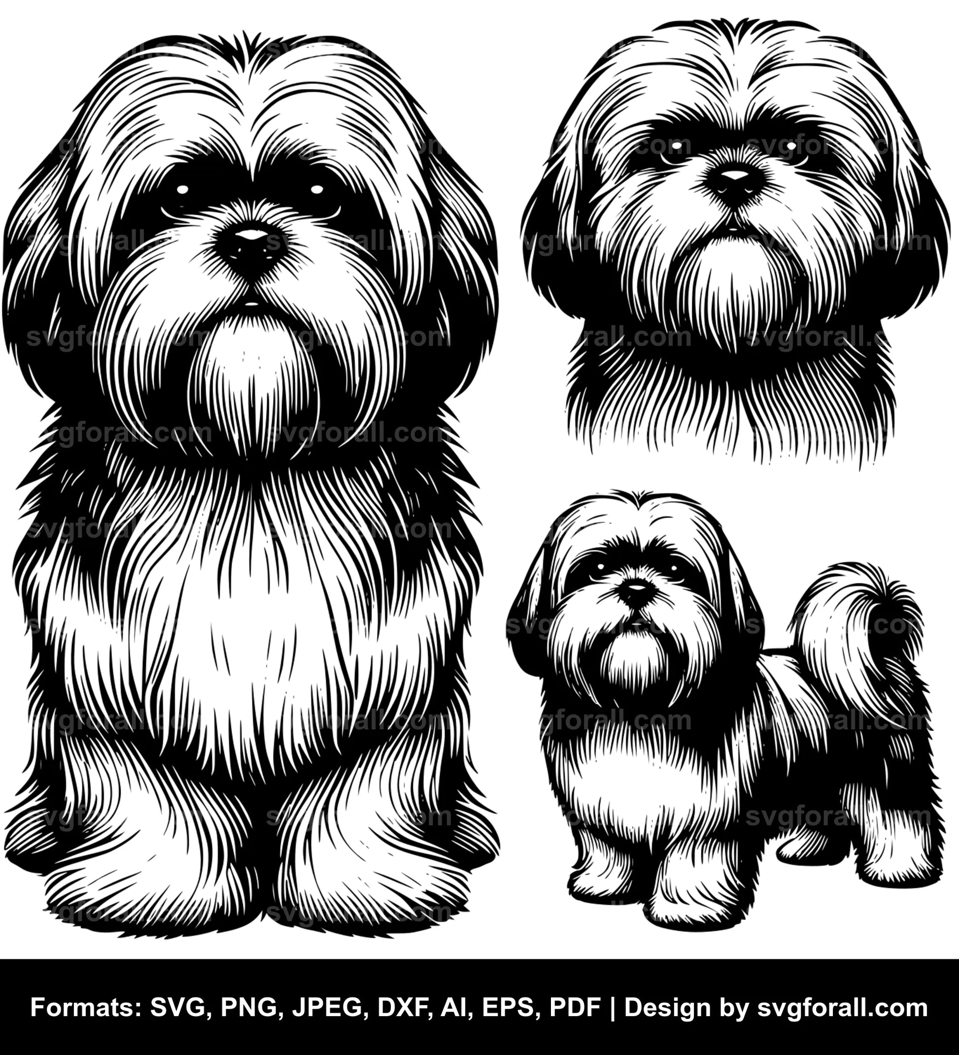 Lhasa Apso Dog SVG