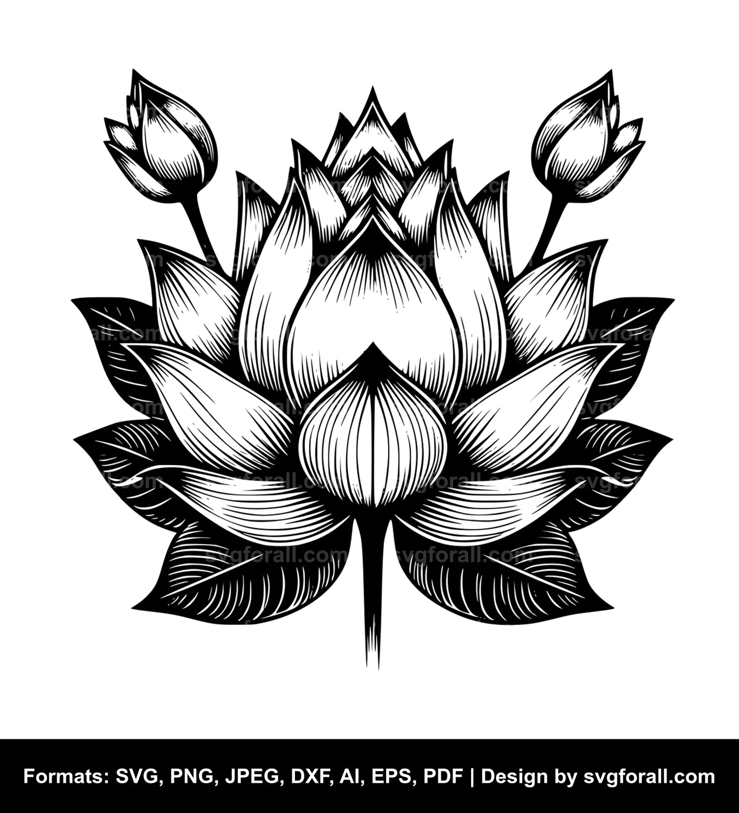 Lotus SVG PNG