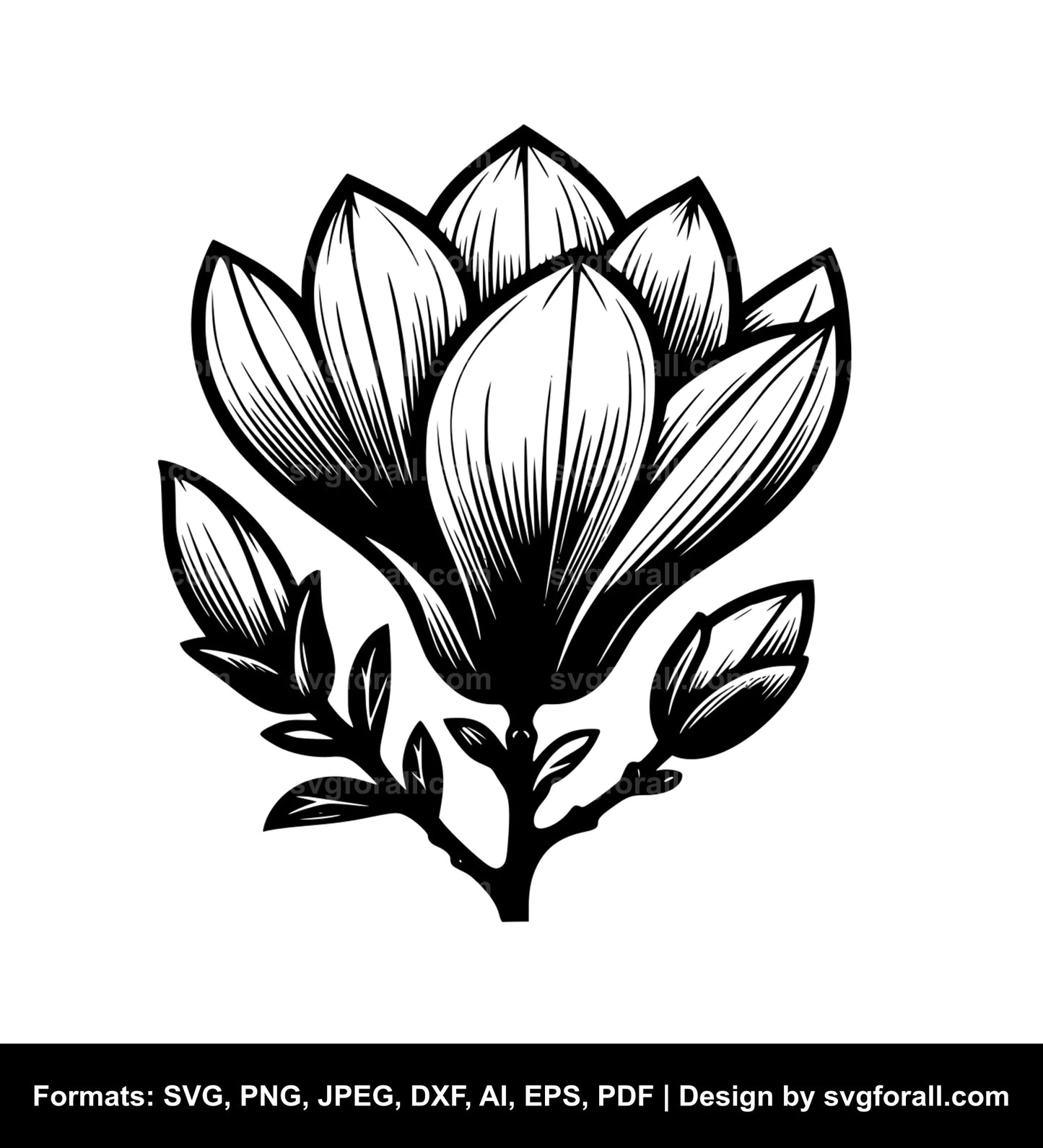 Magnolia Flower Black SVG