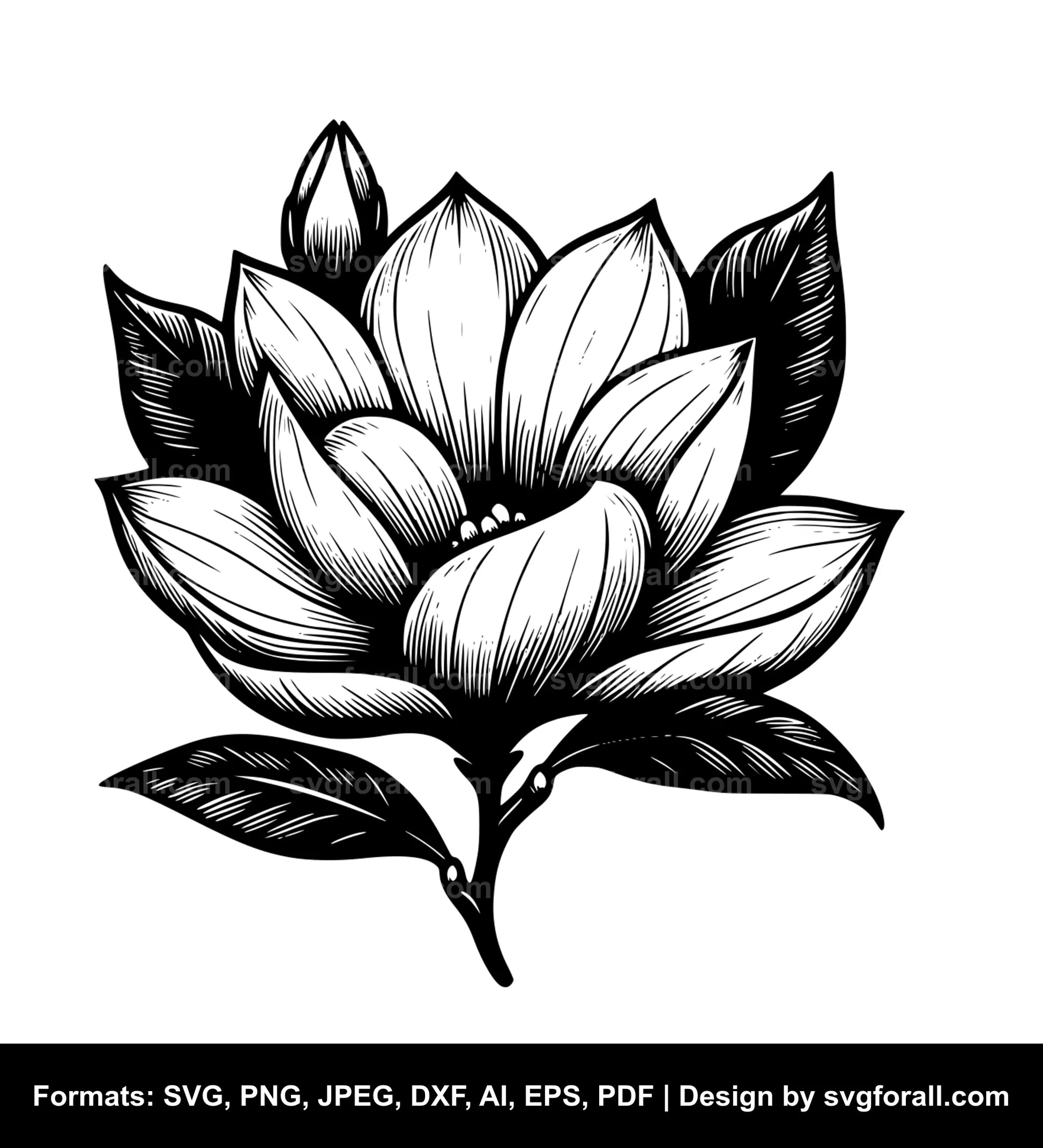 Magnolia Flower Clipart SVG