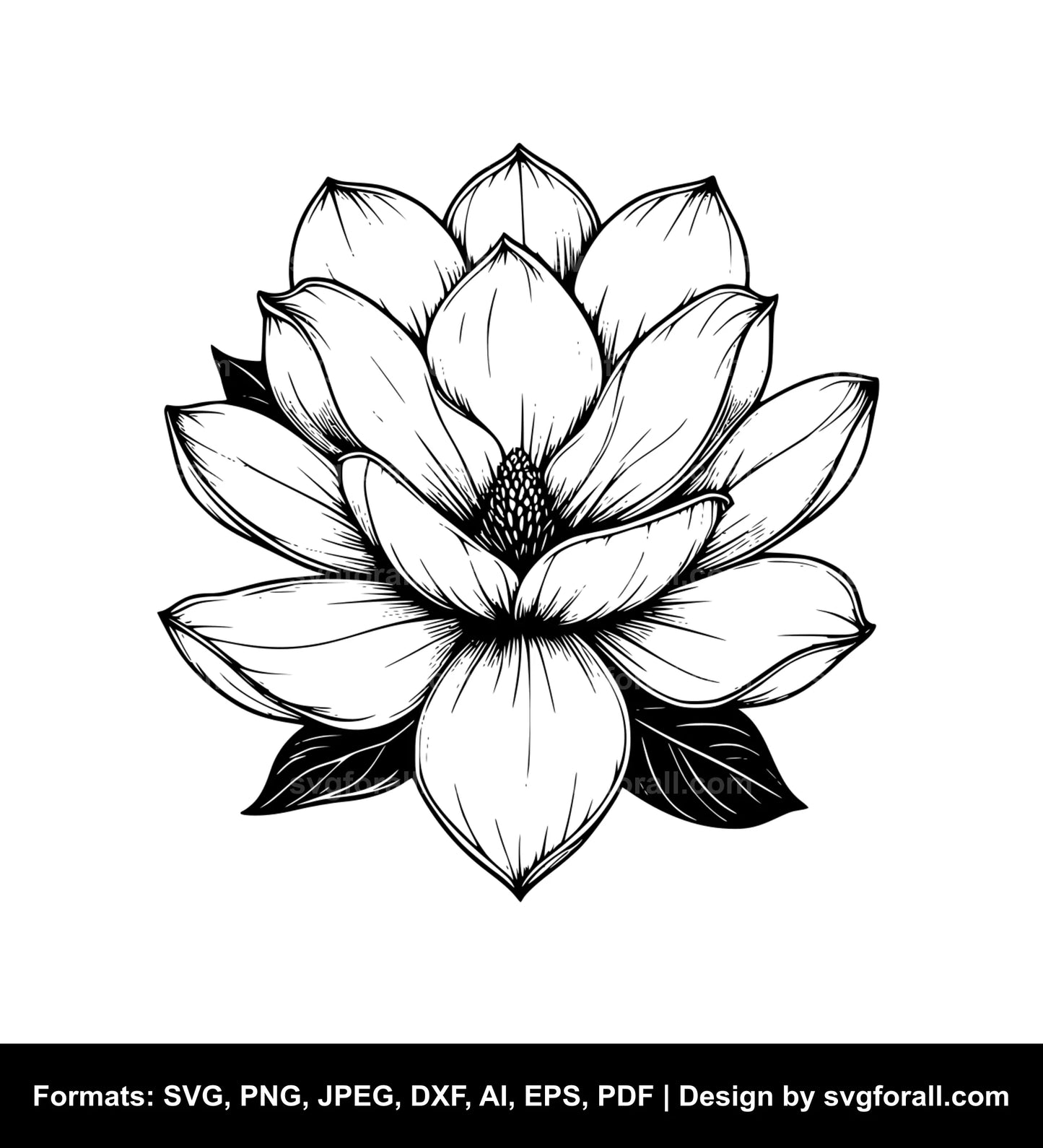 Magnolia Flower SVG