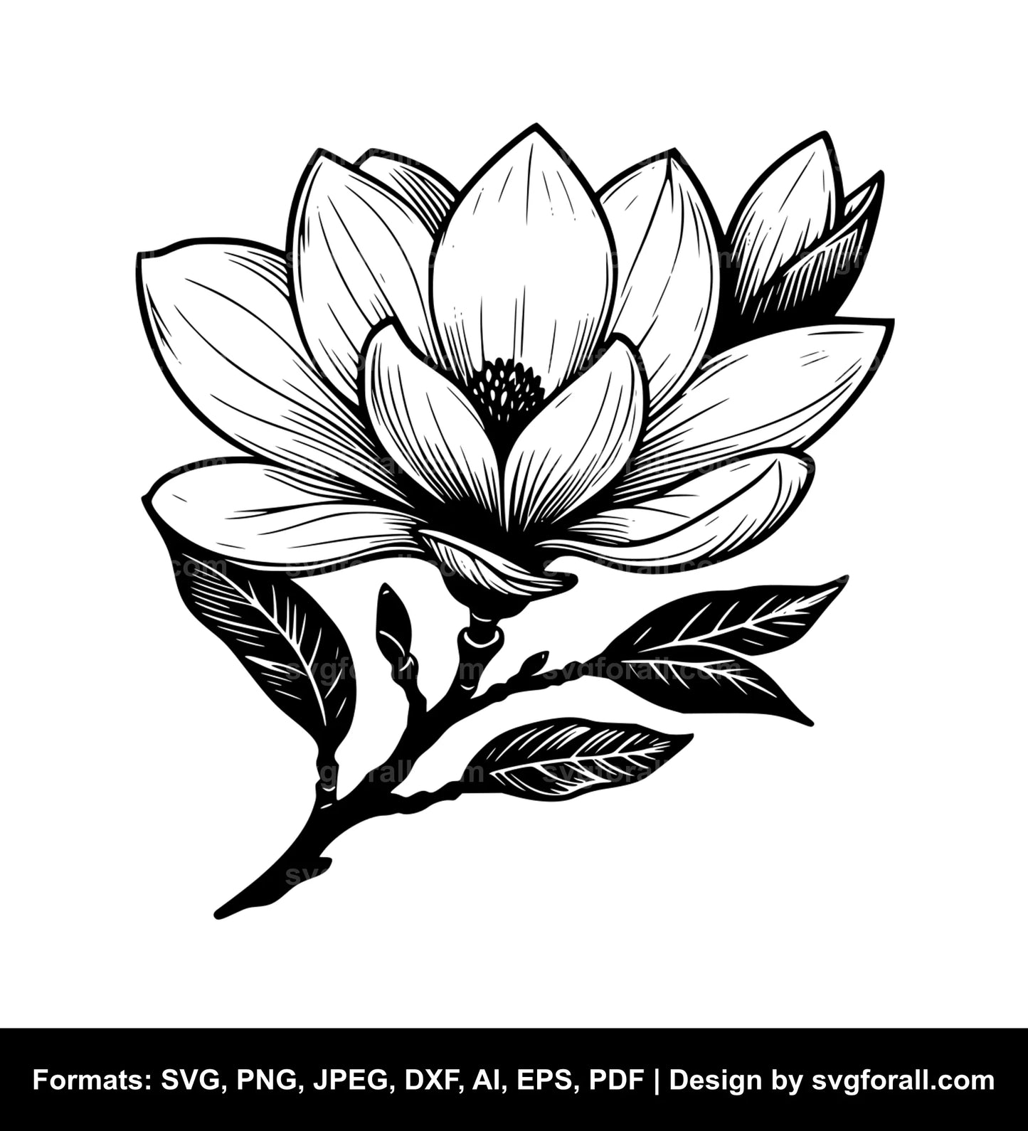 Magnolia Flower SVG Clipart