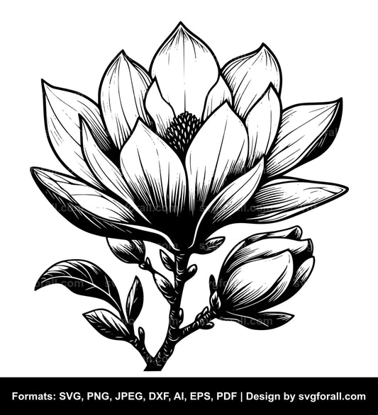 Magnolia Flower SVG PNG