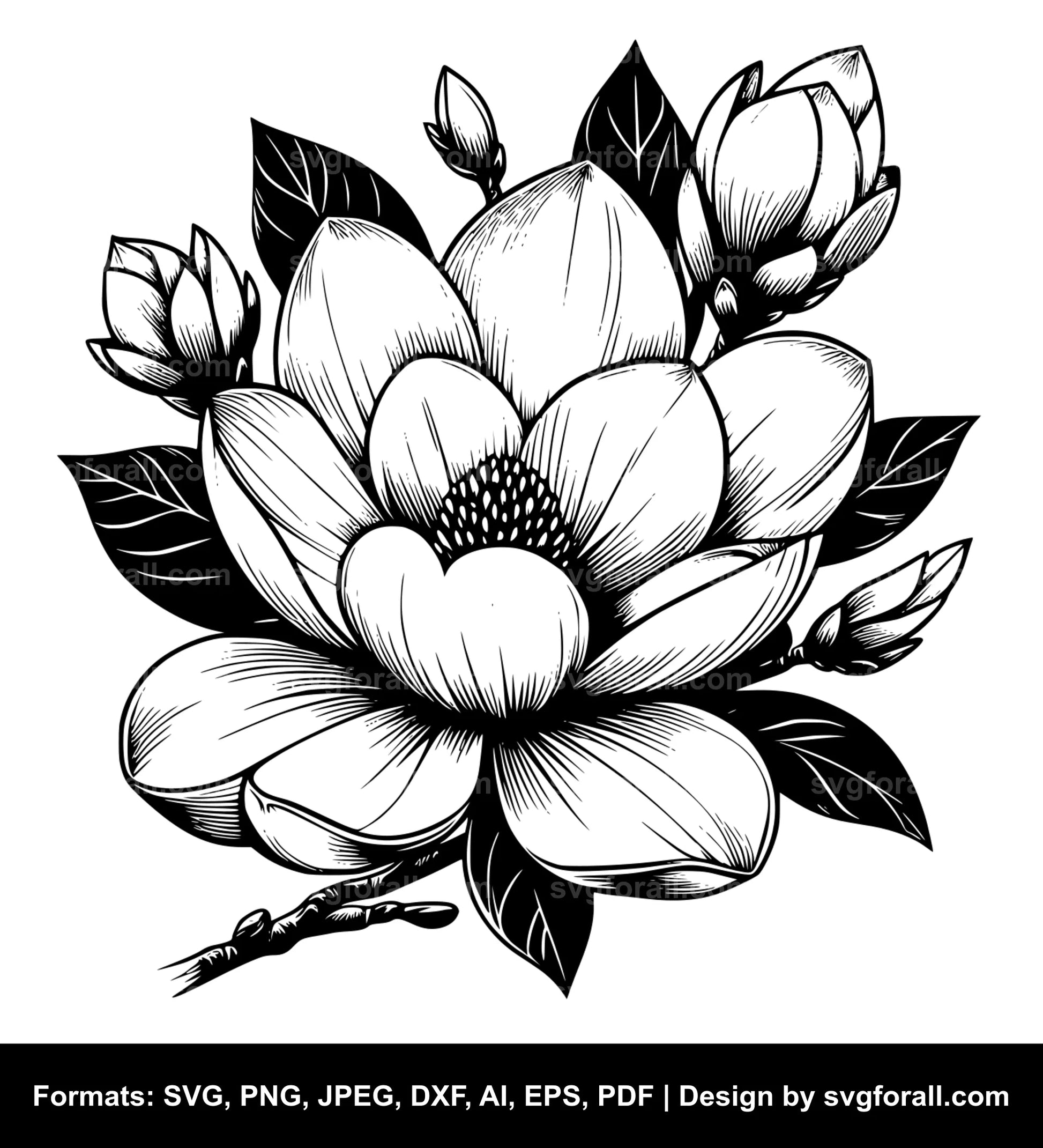 Magnolia Flower SVG Vector