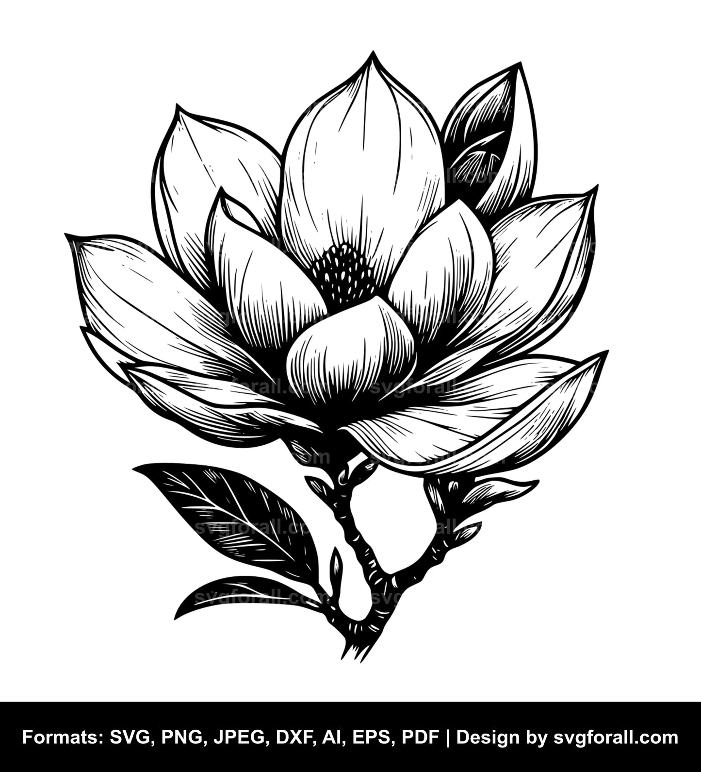 Magnolia Flower Vector SVG