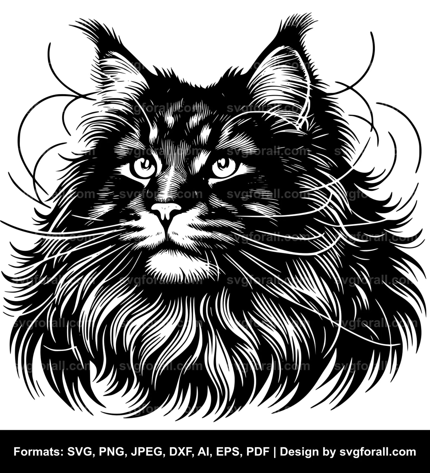 Maine Coon Cat Black SVG