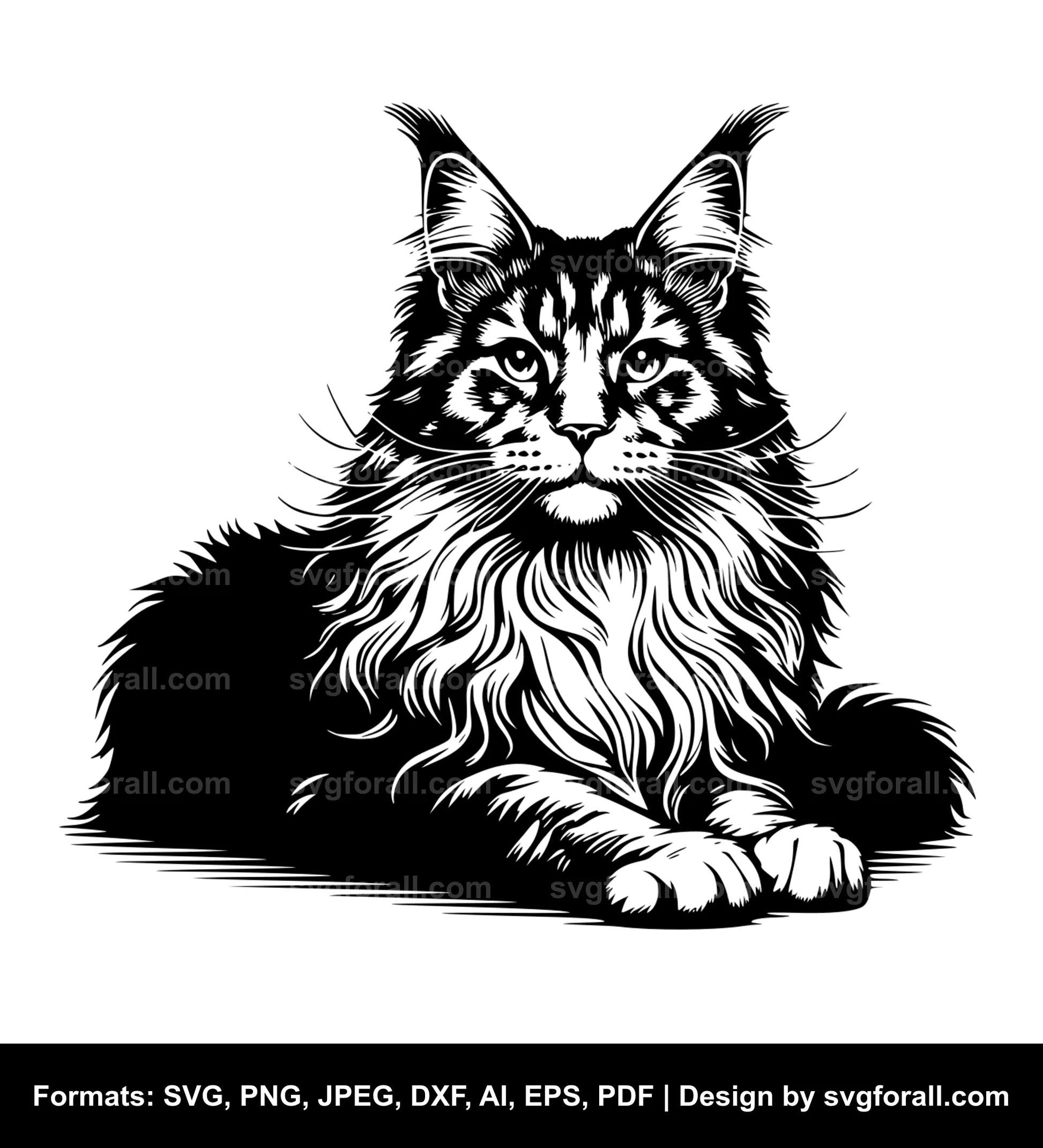 Maine Coon Cat SVG