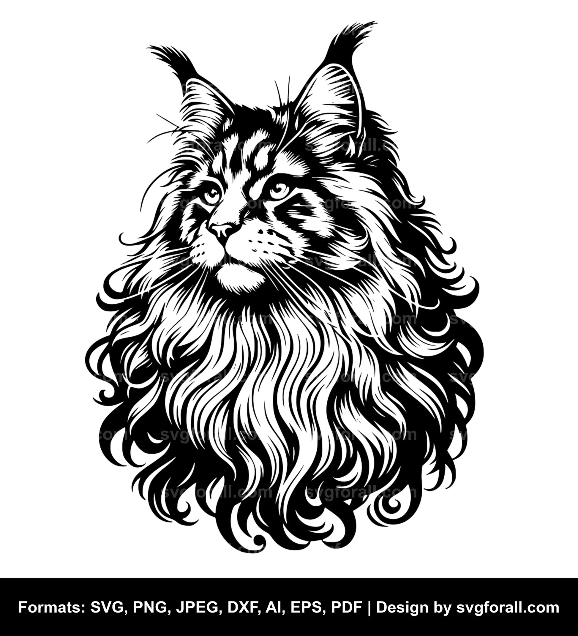 Maine Coon Cat SVG File