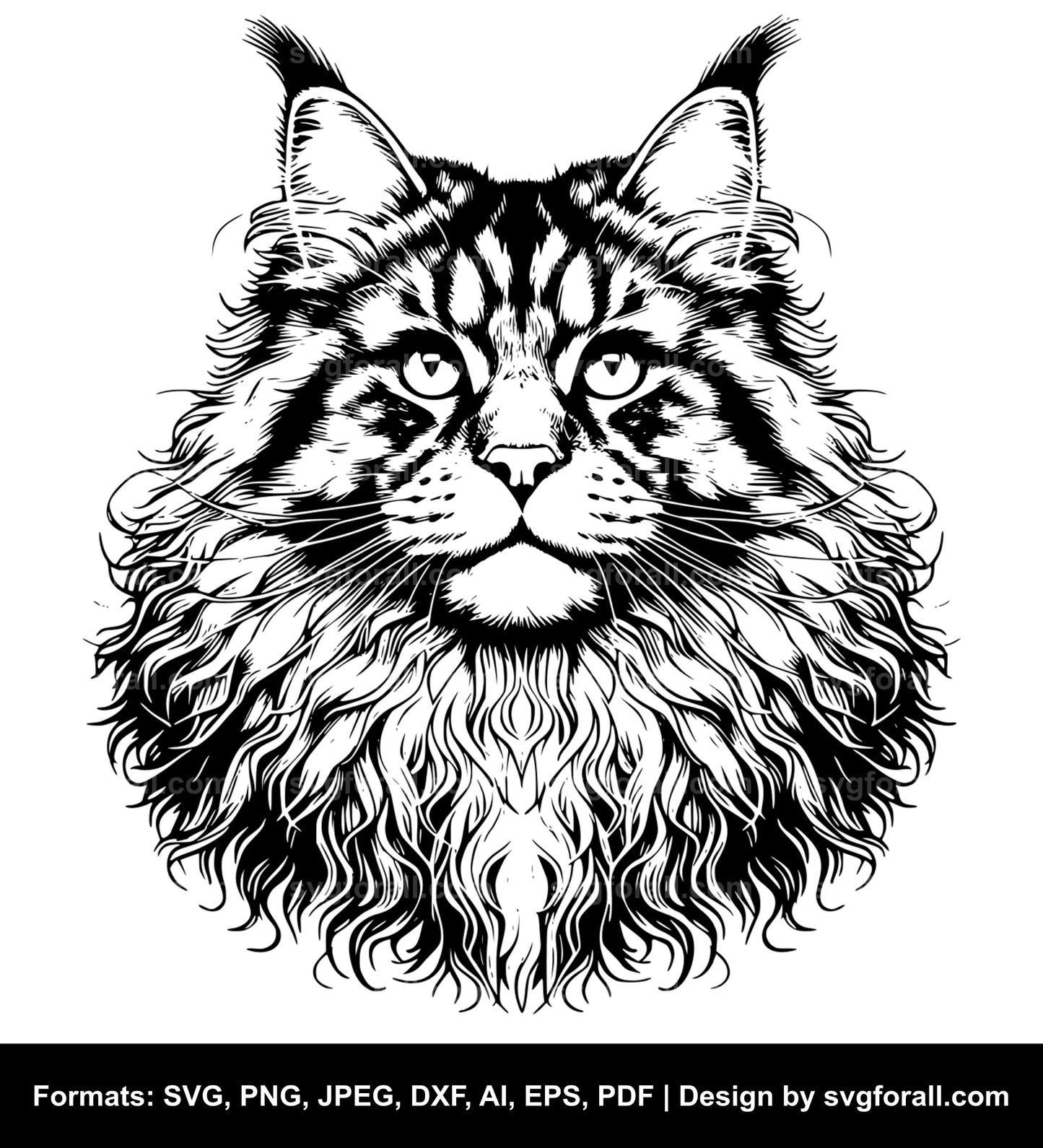 Maine Coon Cat SVG PNG