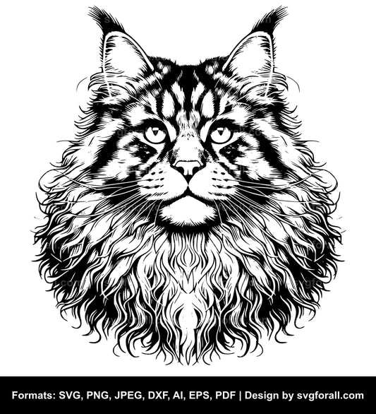 Maine Coon Cat SVG PNG