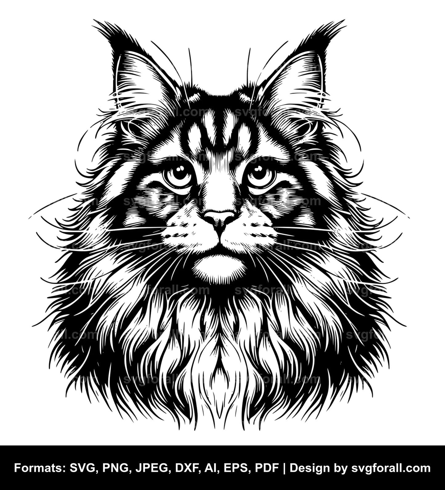 Maine Coon Cat SVG Vector