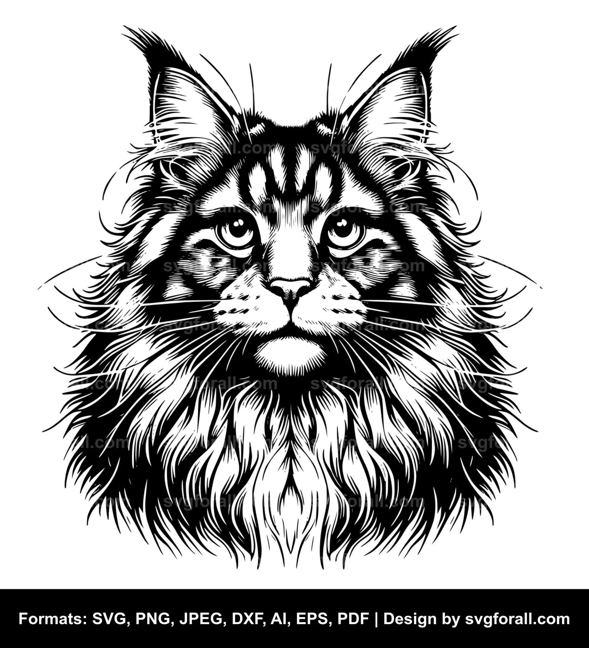 Maine Coon Cat SVG Vector