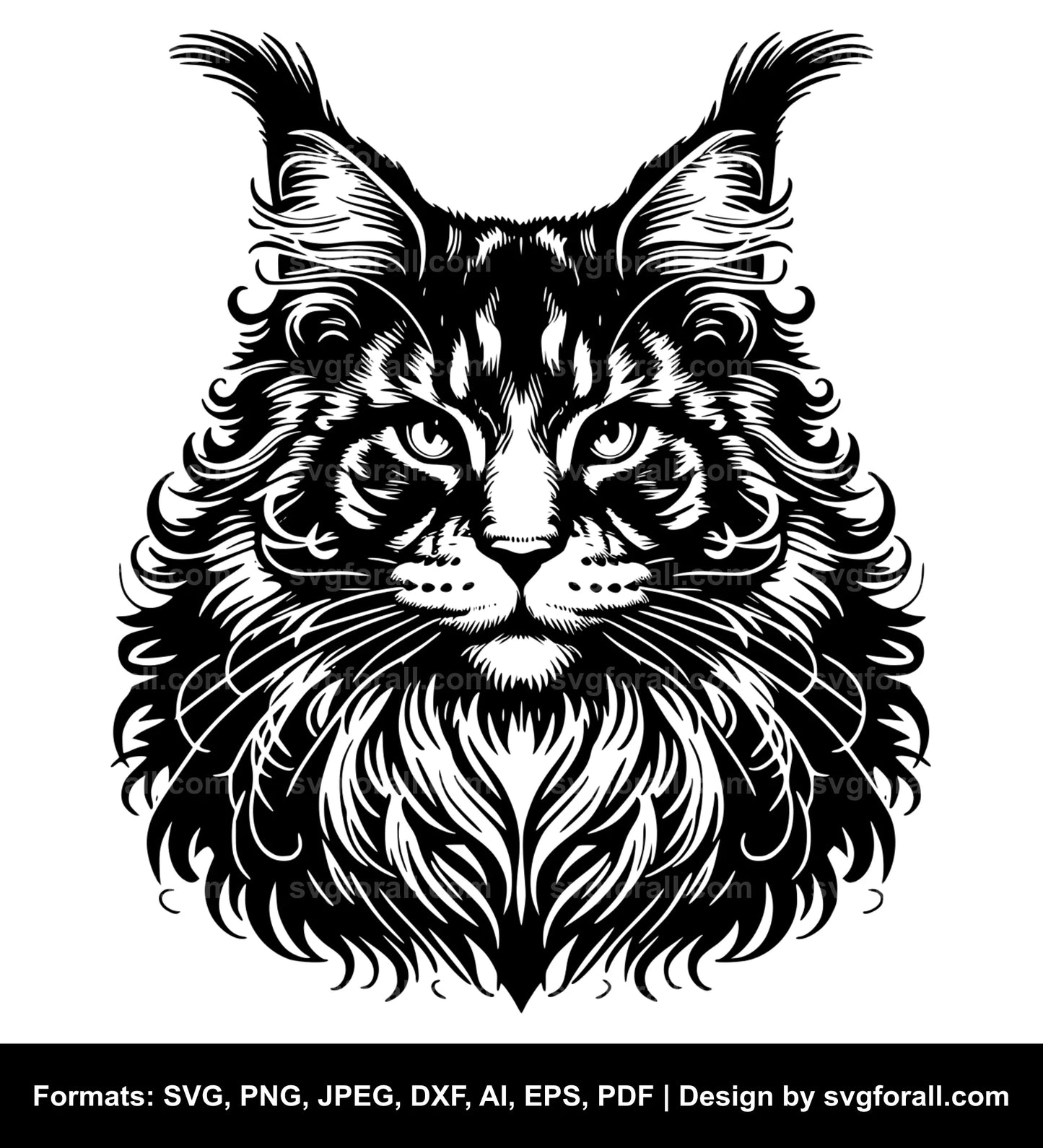 Maine Coon Cat Vector SVG