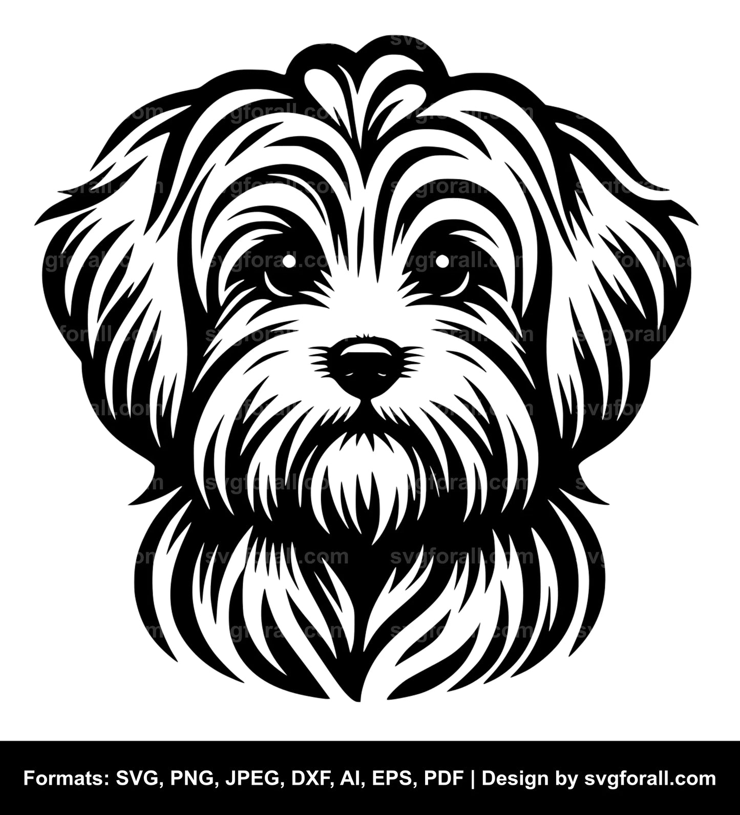 Maltese Dog SVG