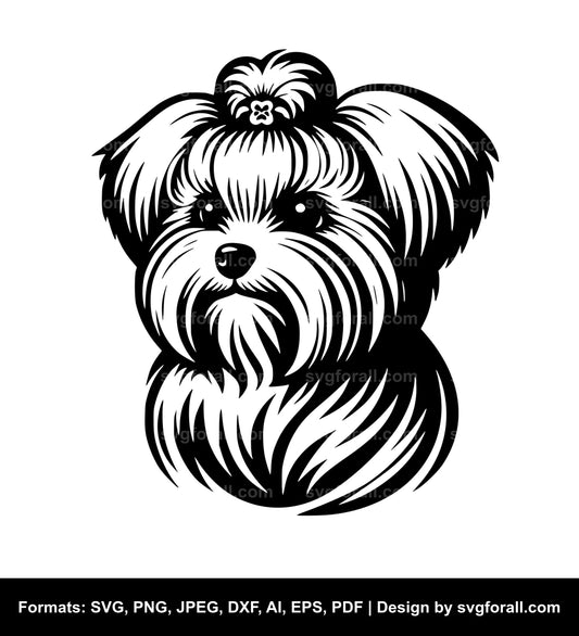 Maltese Dog SVG File