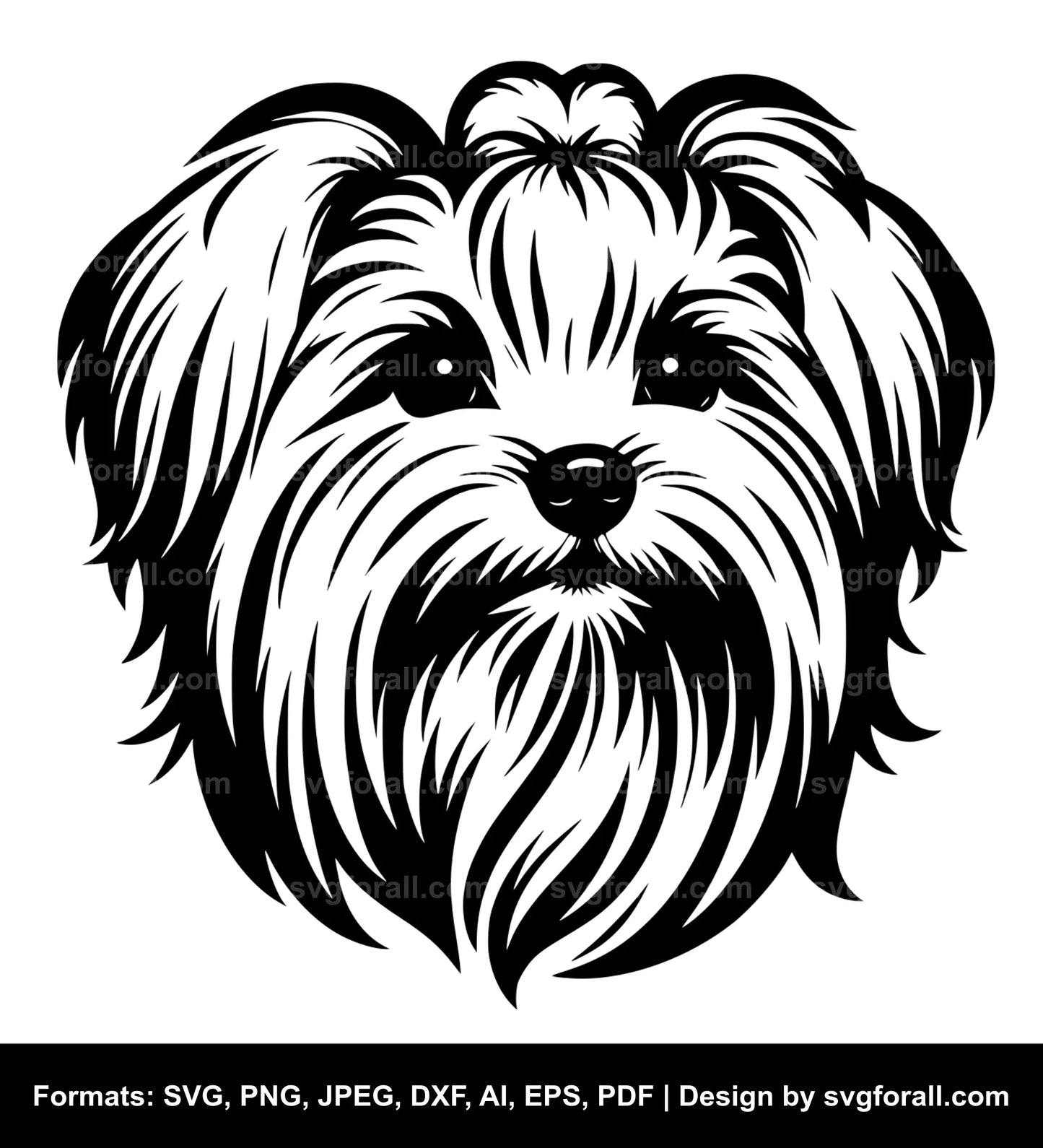 Maltese Dog SVG PNG