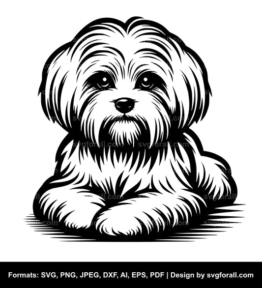 Maltese Dog SVG Vector