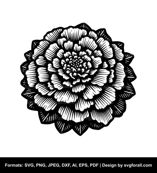 Marigold Flower SVG