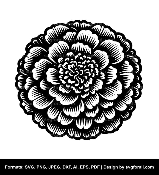 Marigold Flower SVG PNG