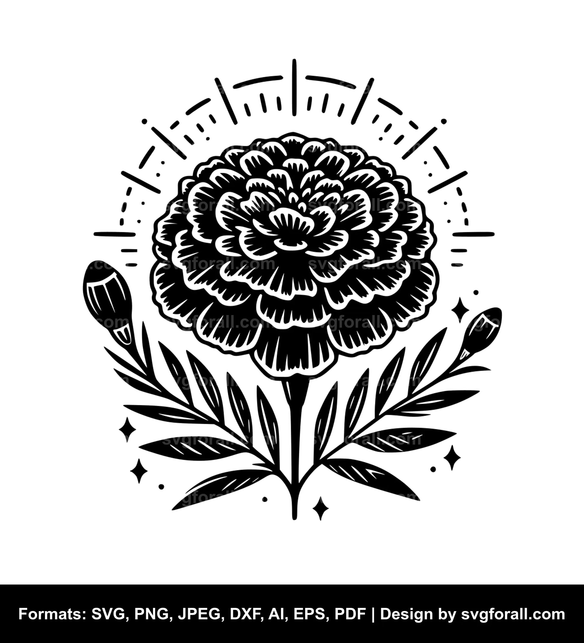 Marigold Flower SVG Vector