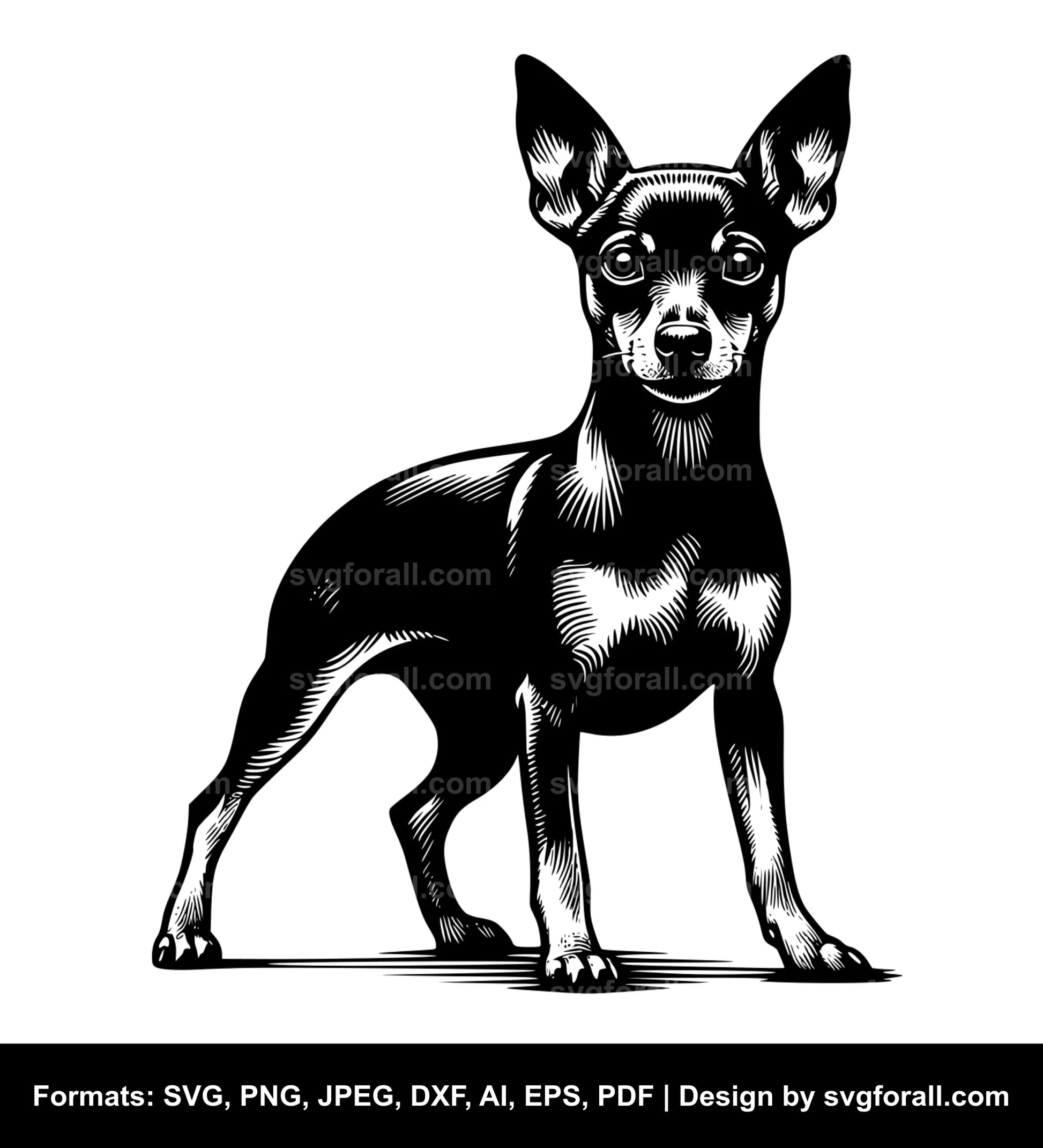 Miniature Pinscher Dog SVG Vector