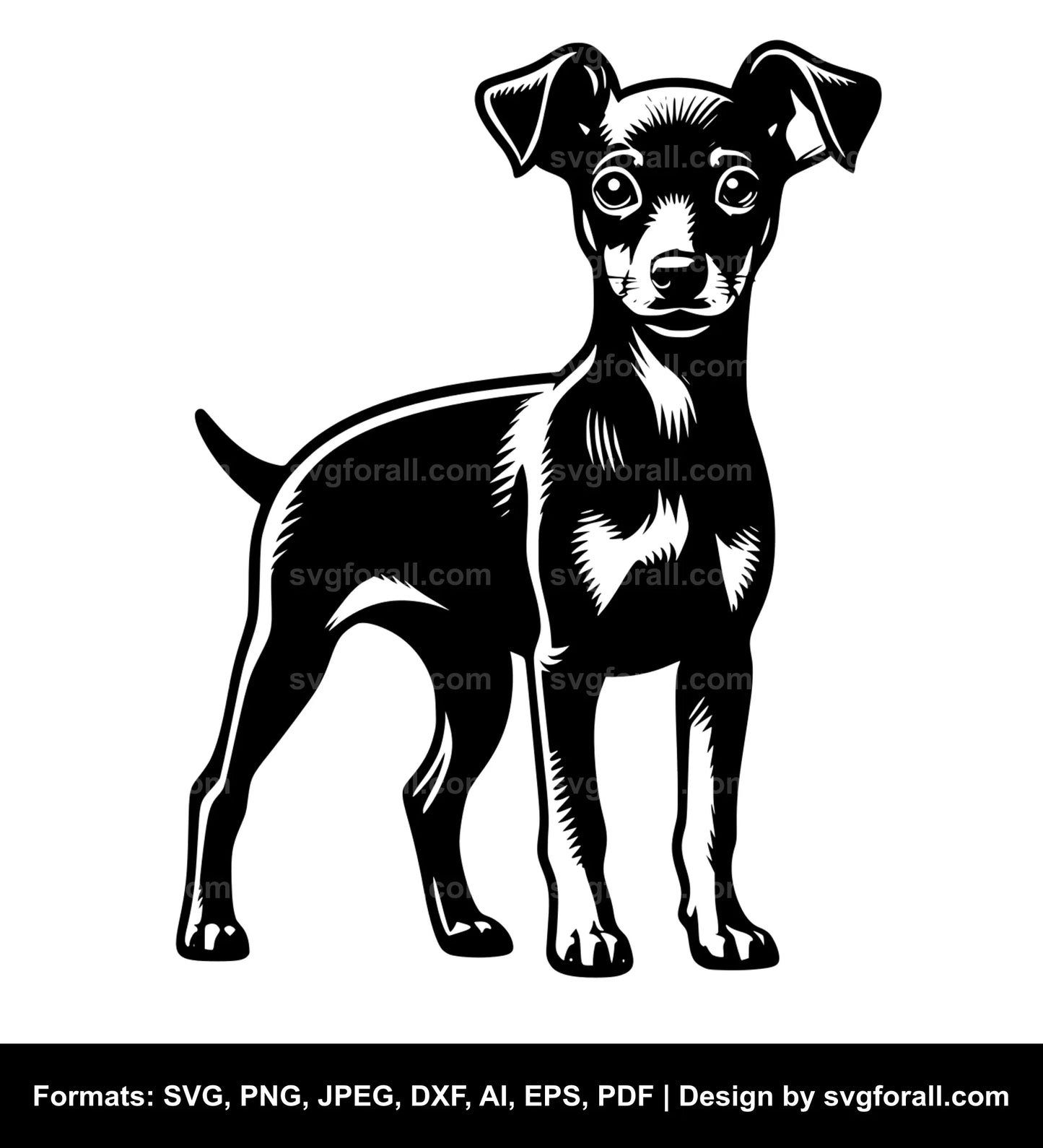 Miniature Pinscher Dog Vector SVG