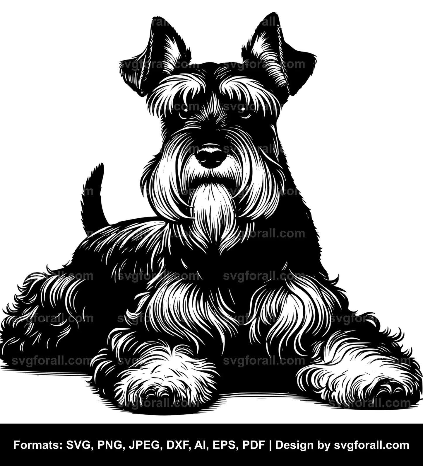 Miniature Schnauzer Dog Black SVG