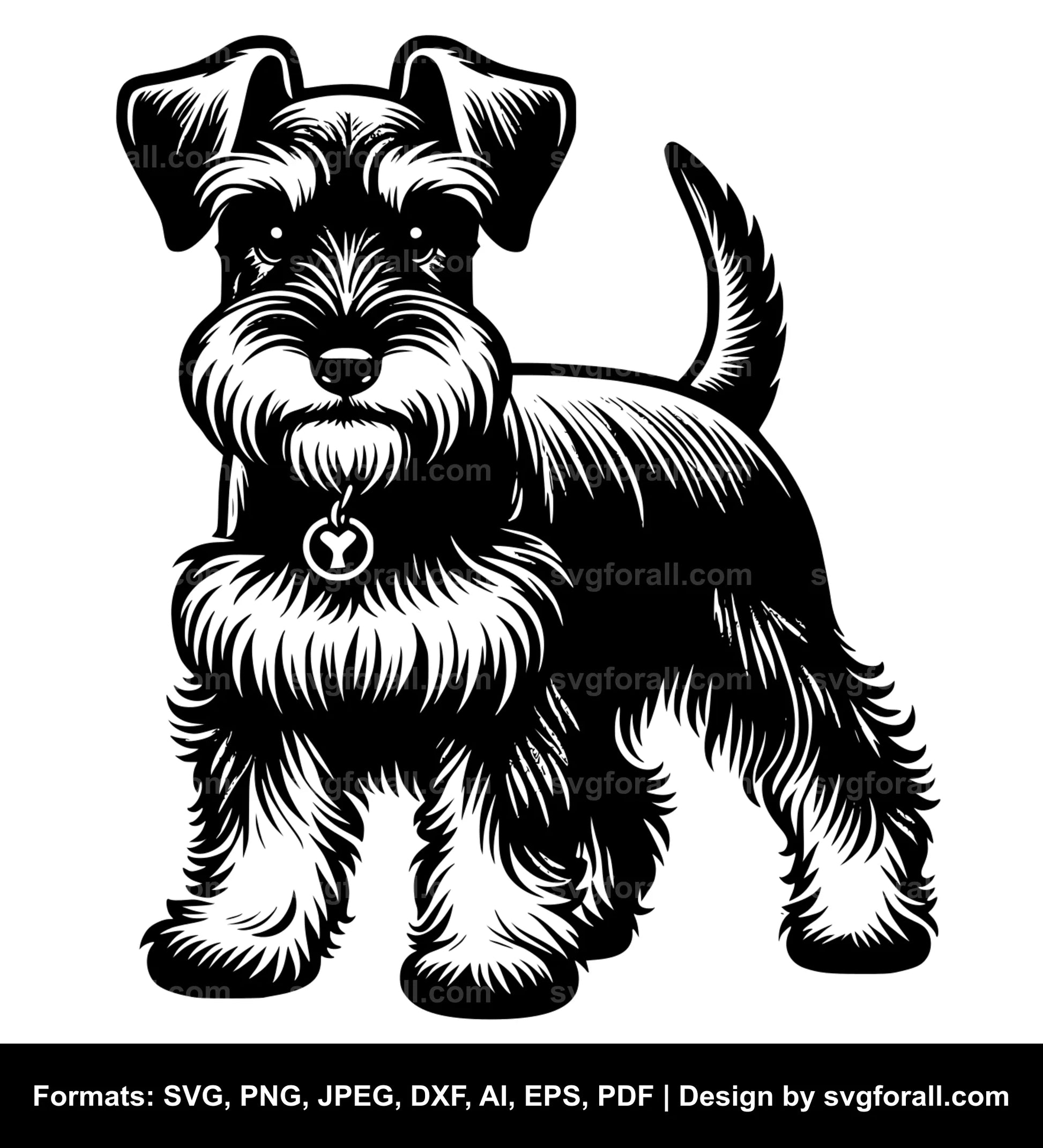 Miniature Schnauzer Dog SVG PNG