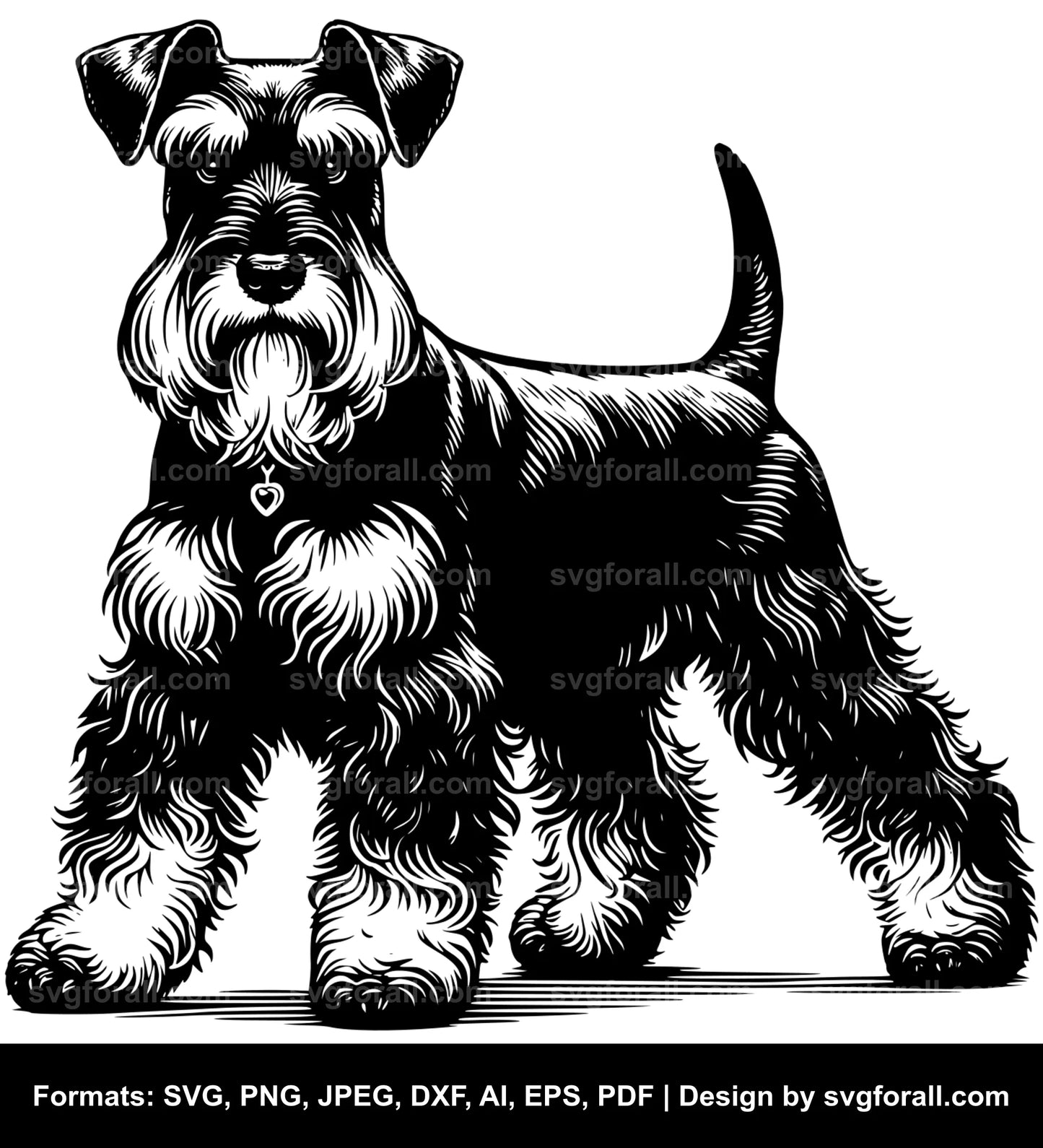 Miniature Schnauzer Dog SVG Vector