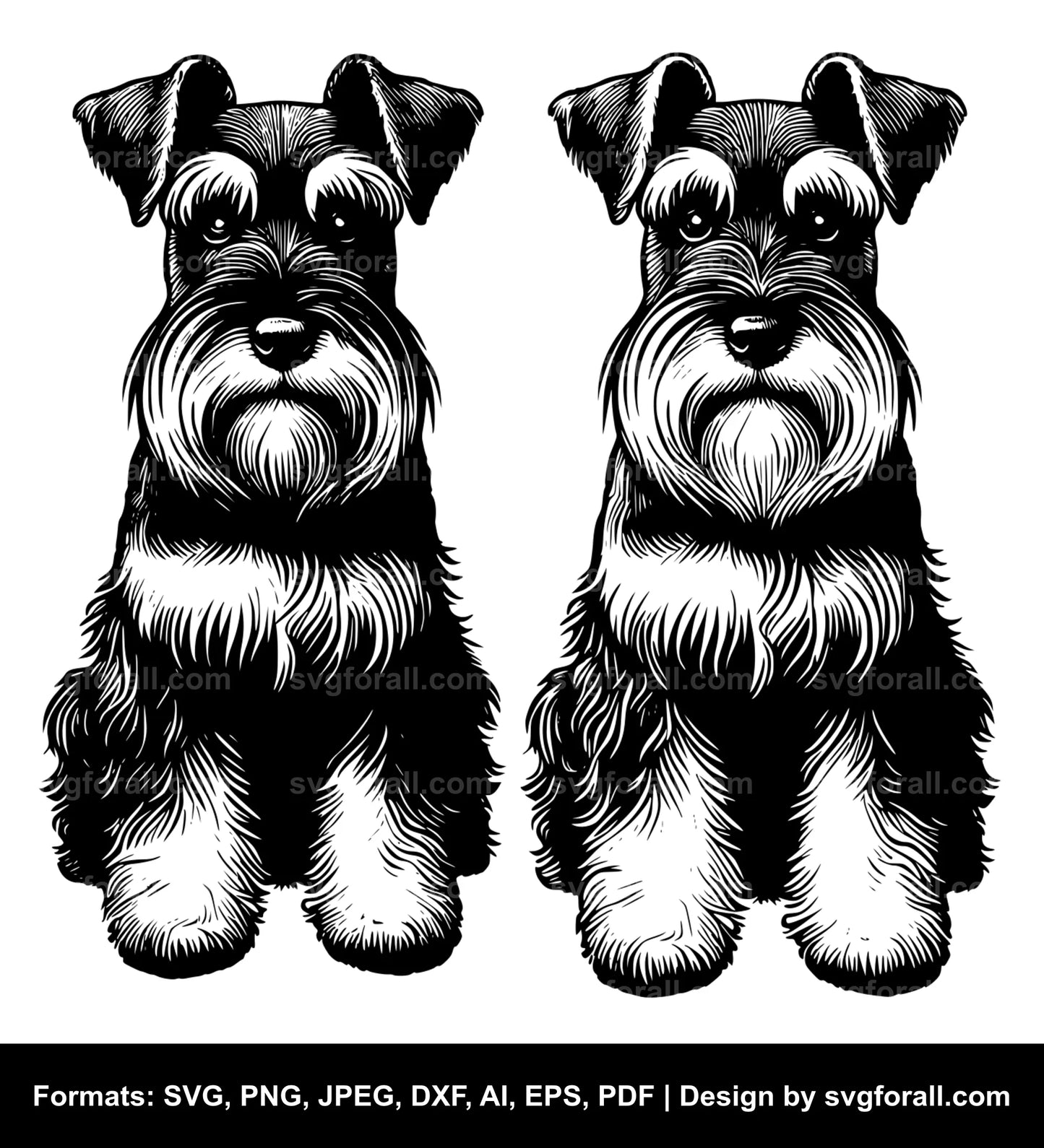 Miniature Schnauzer Dog Vector SVG