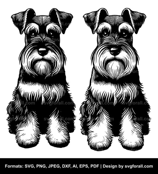 Miniature Schnauzer Dog Vector SVG