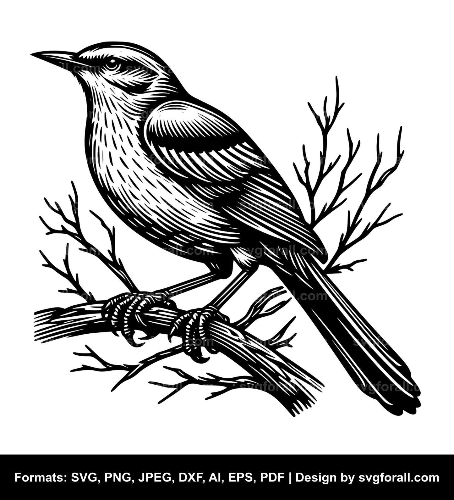 Mockingbird Black SVG