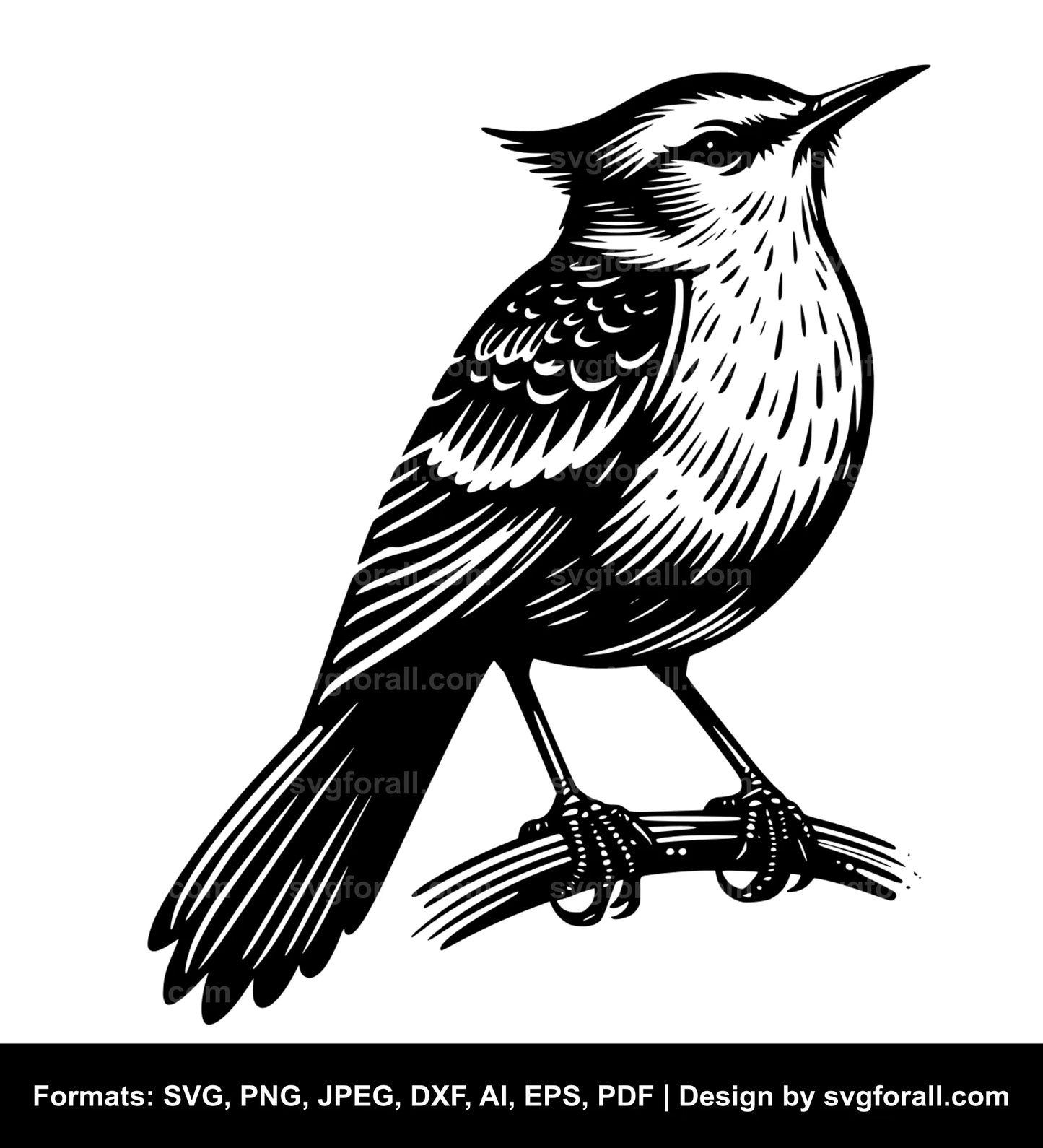 Mockingbird SVG PNG