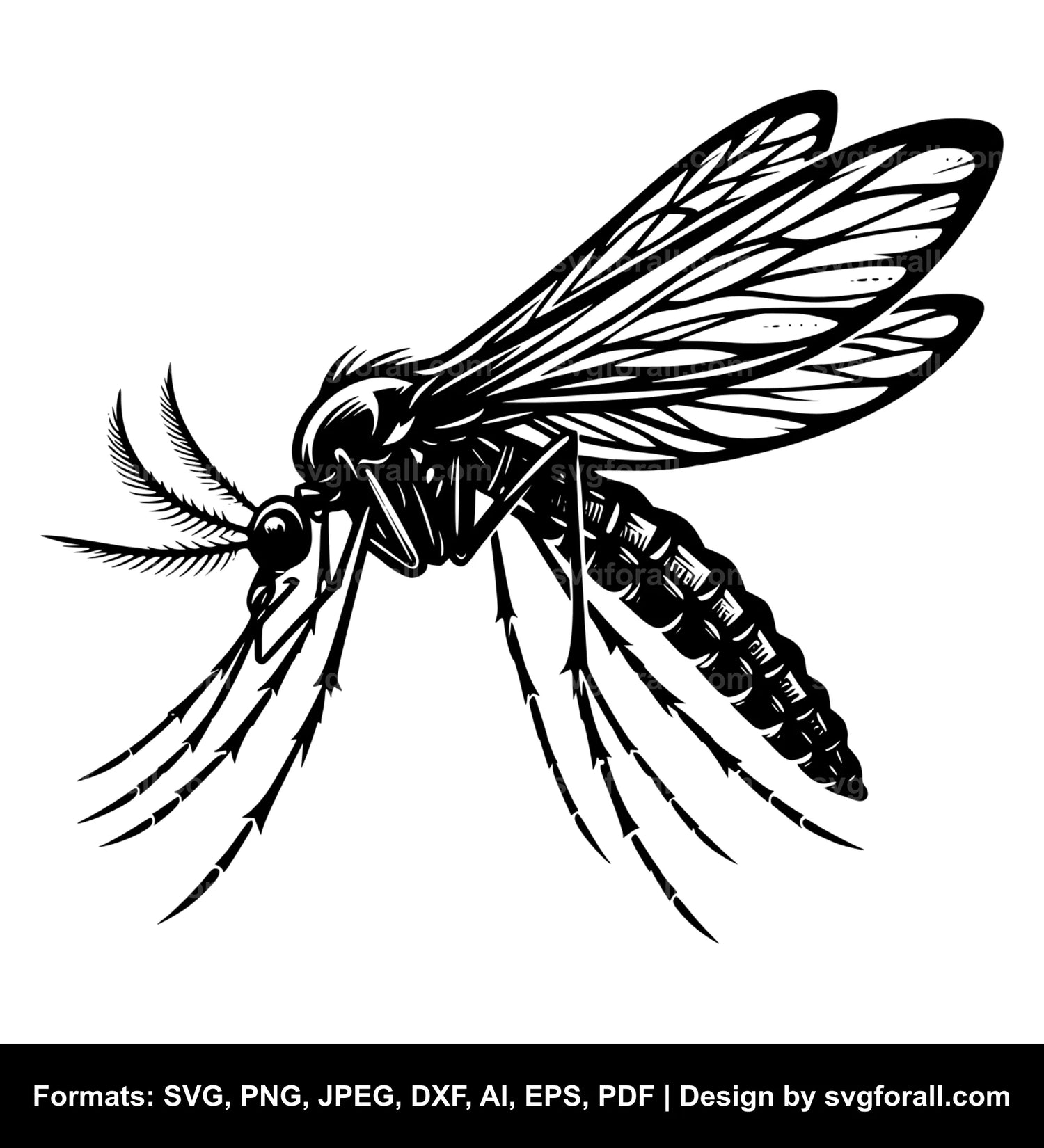 Mosquito SVG Design