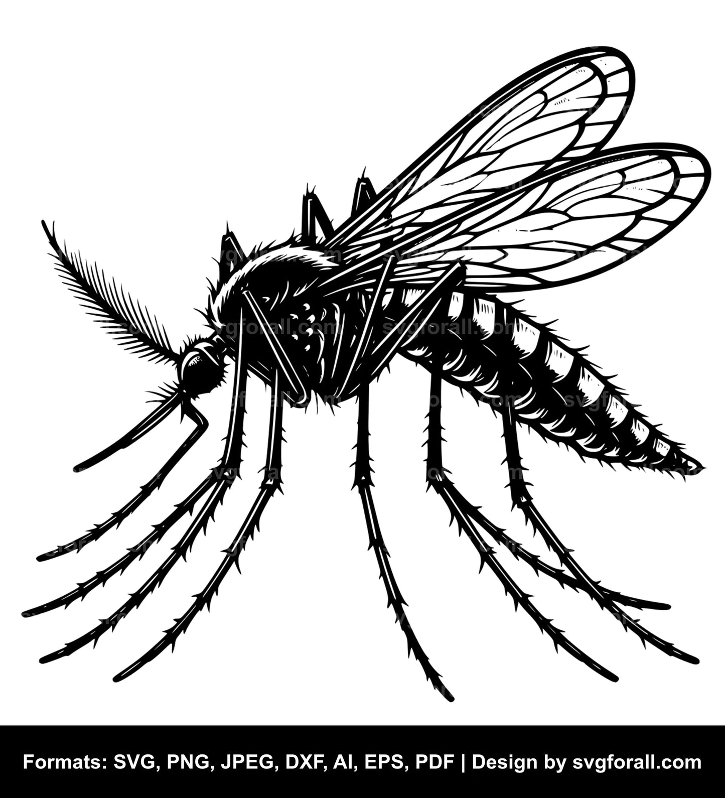 Mosquito SVG Vector