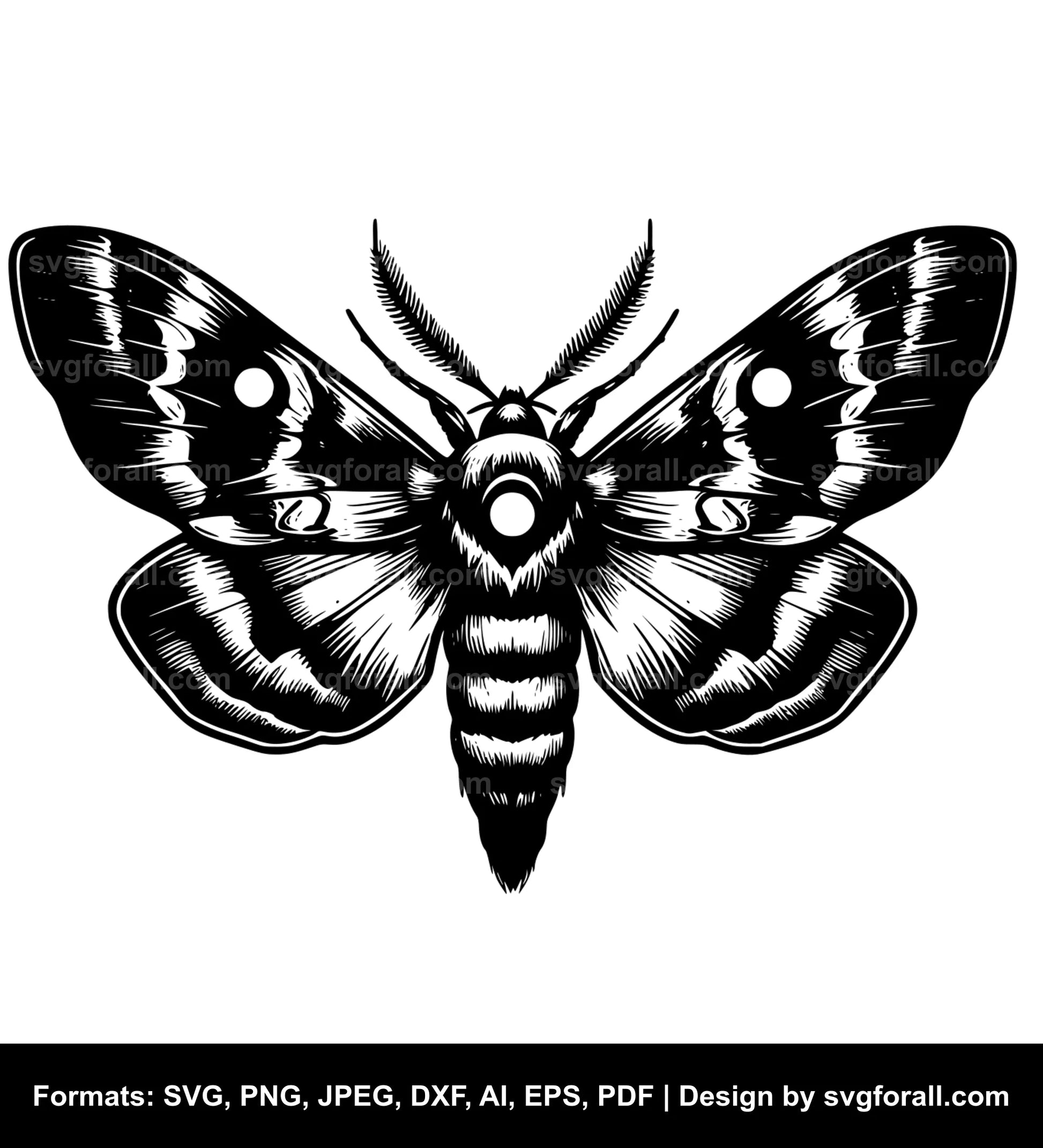 Moth SVG