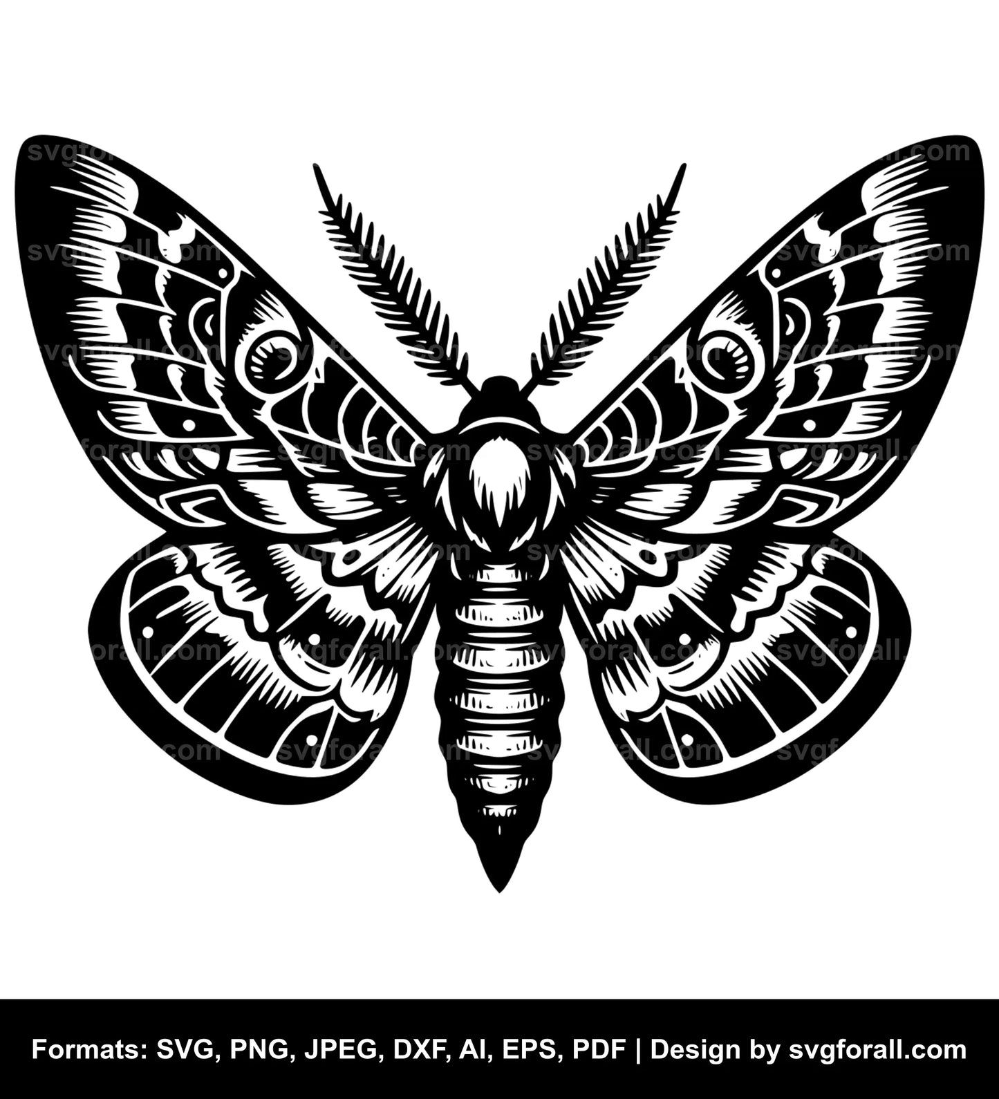 Moth SVG File