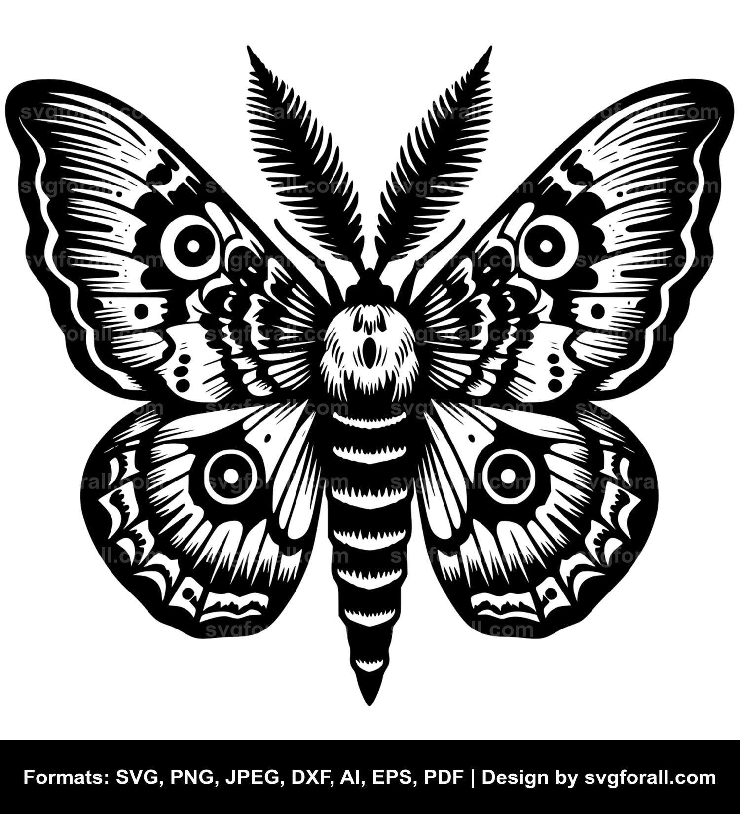 Moth SVG Vector