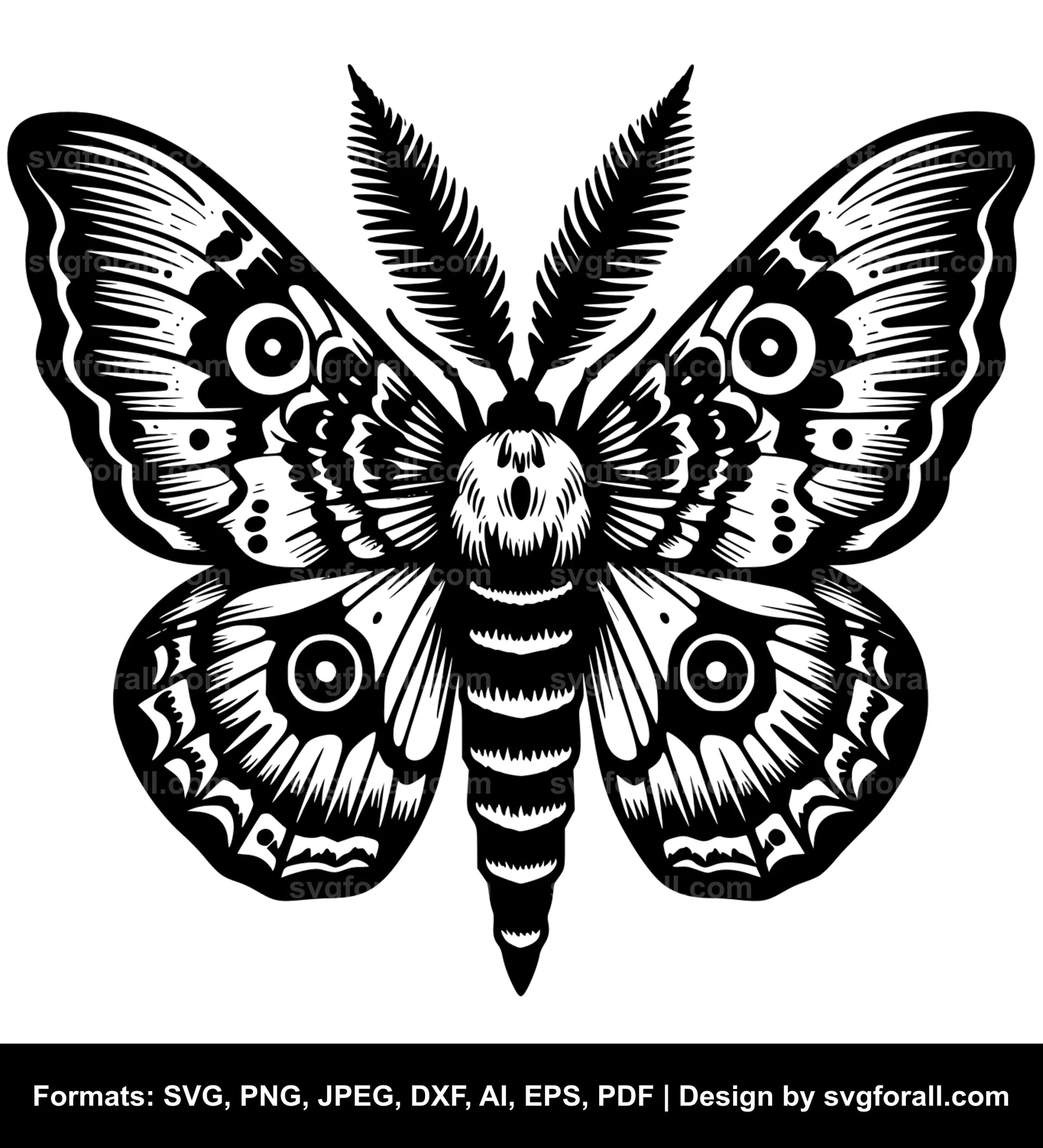 Moth SVG Vector