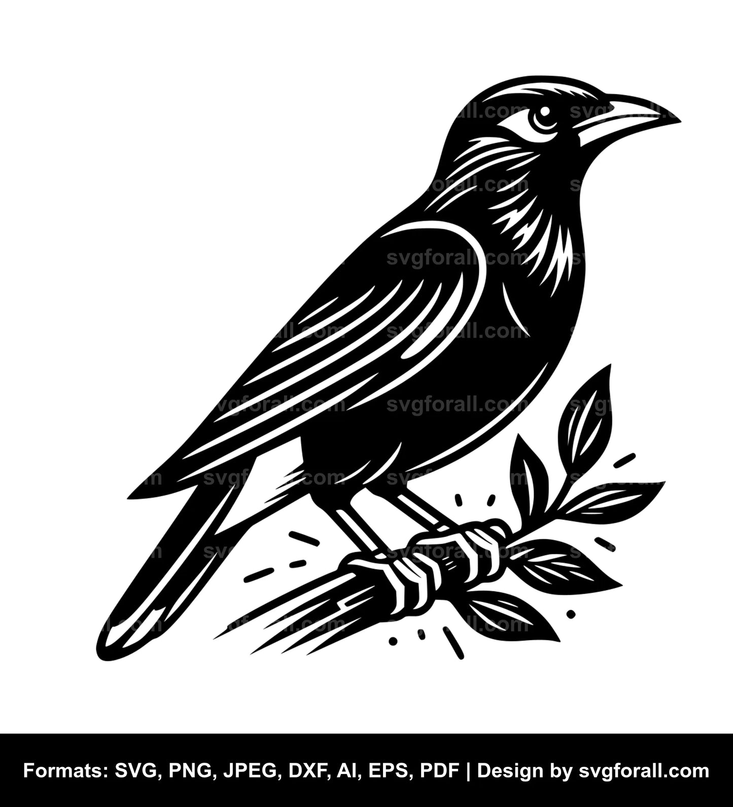 Myna Bird Cricut SVG