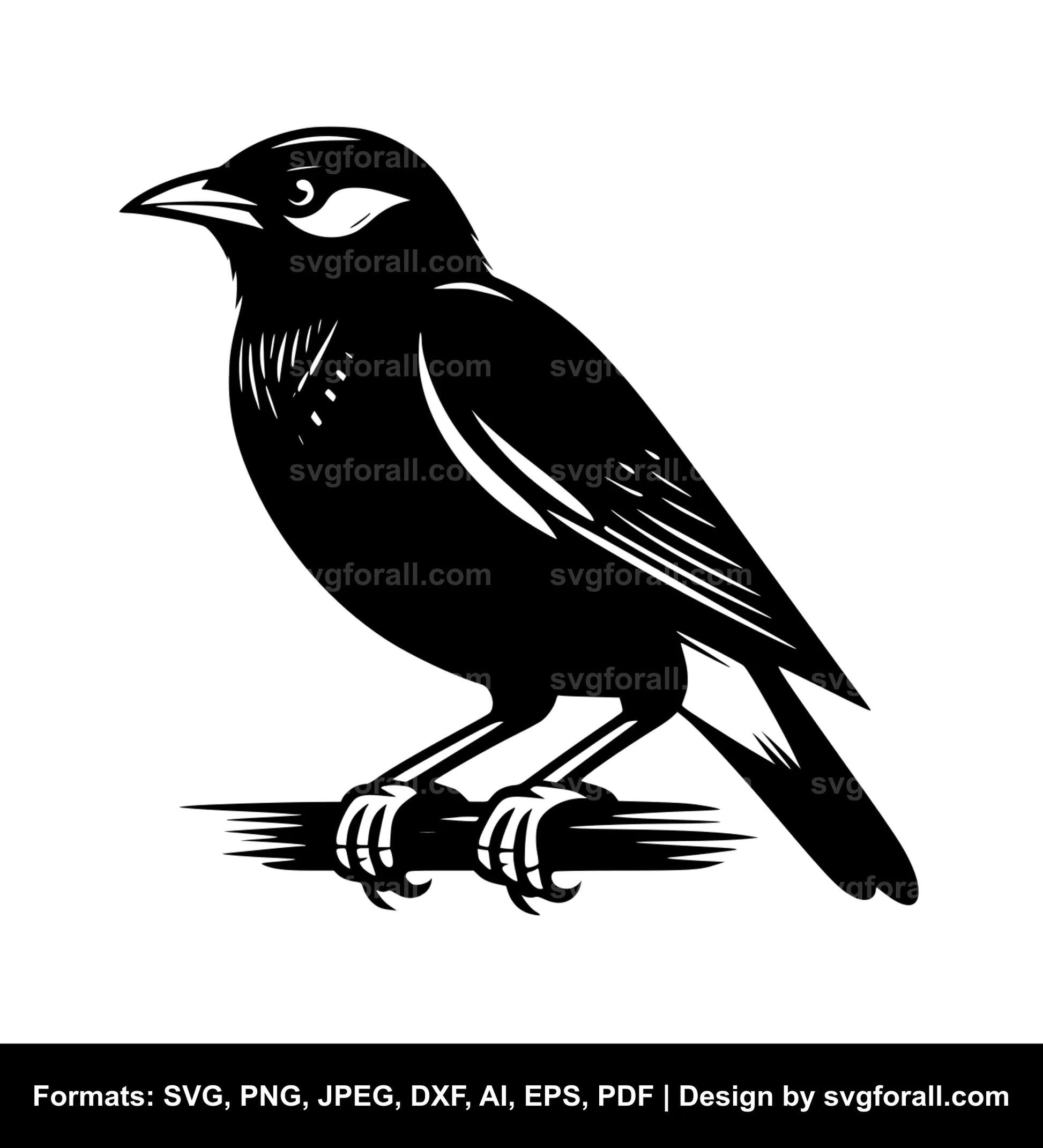 Myna Bird SVG