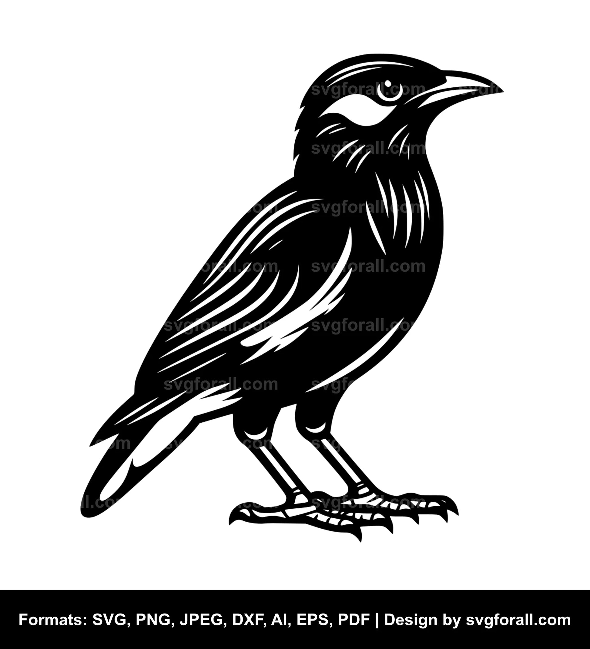 Myna Bird SVG File